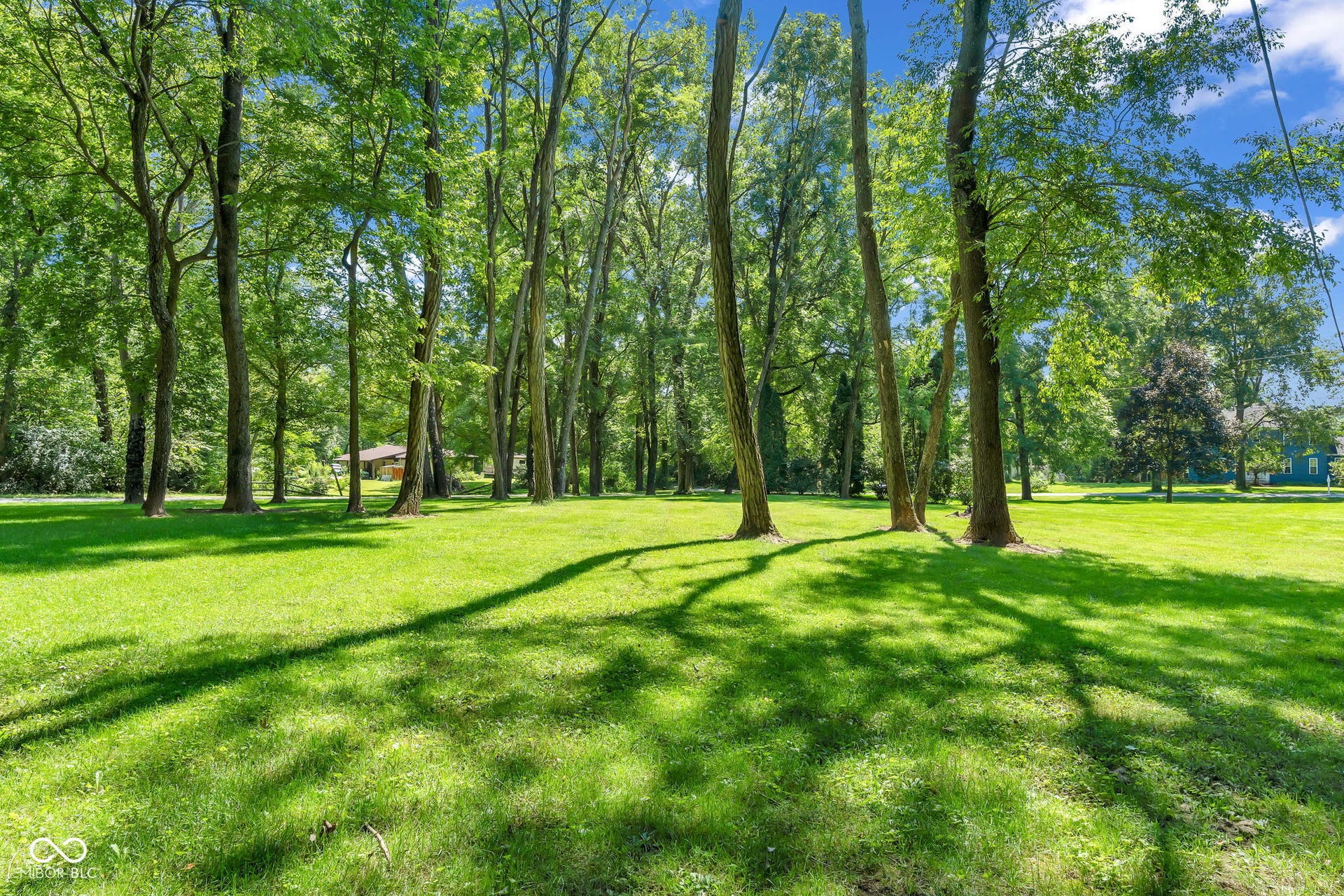 5432 W Whittier Drive, Knightstown, IN 46148 Expansive green lawn surrounded by mature trees