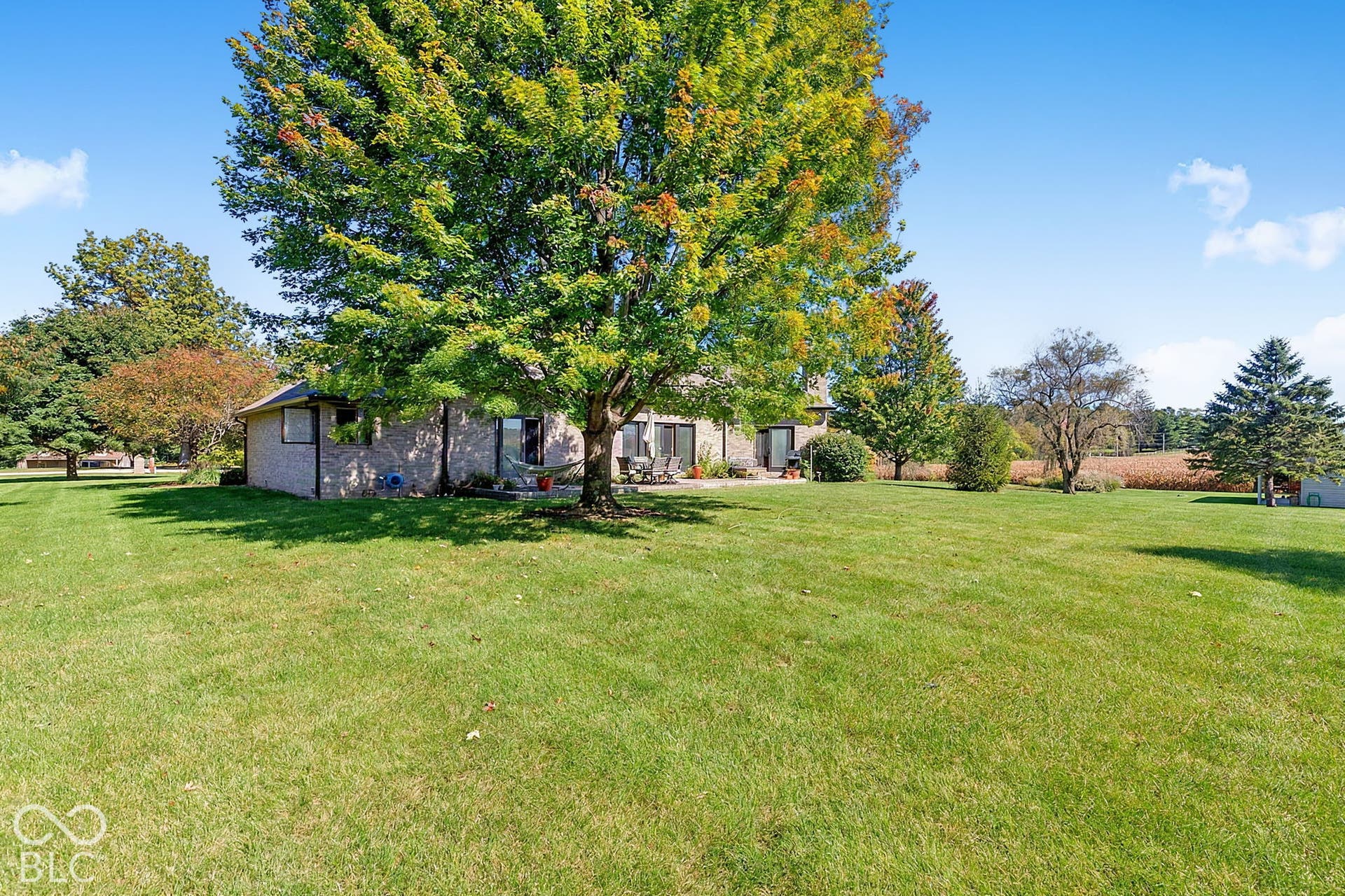 Expansive lawn, mature deciduous trees, brick exterior, concrete patio, and a distant field
