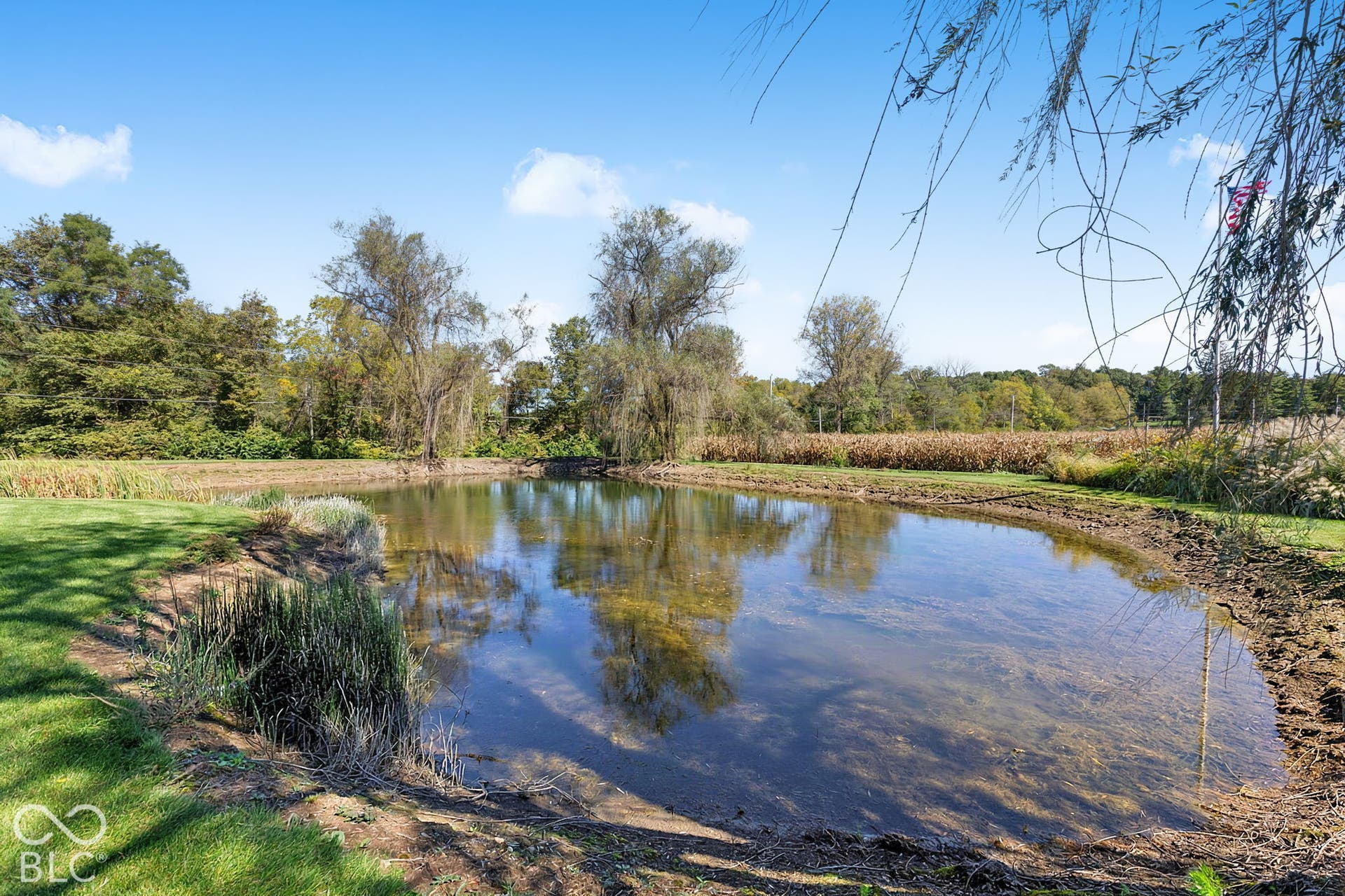 Expansive outdoor space featuring a serene pond, surrounding grassy areas, and mature trees