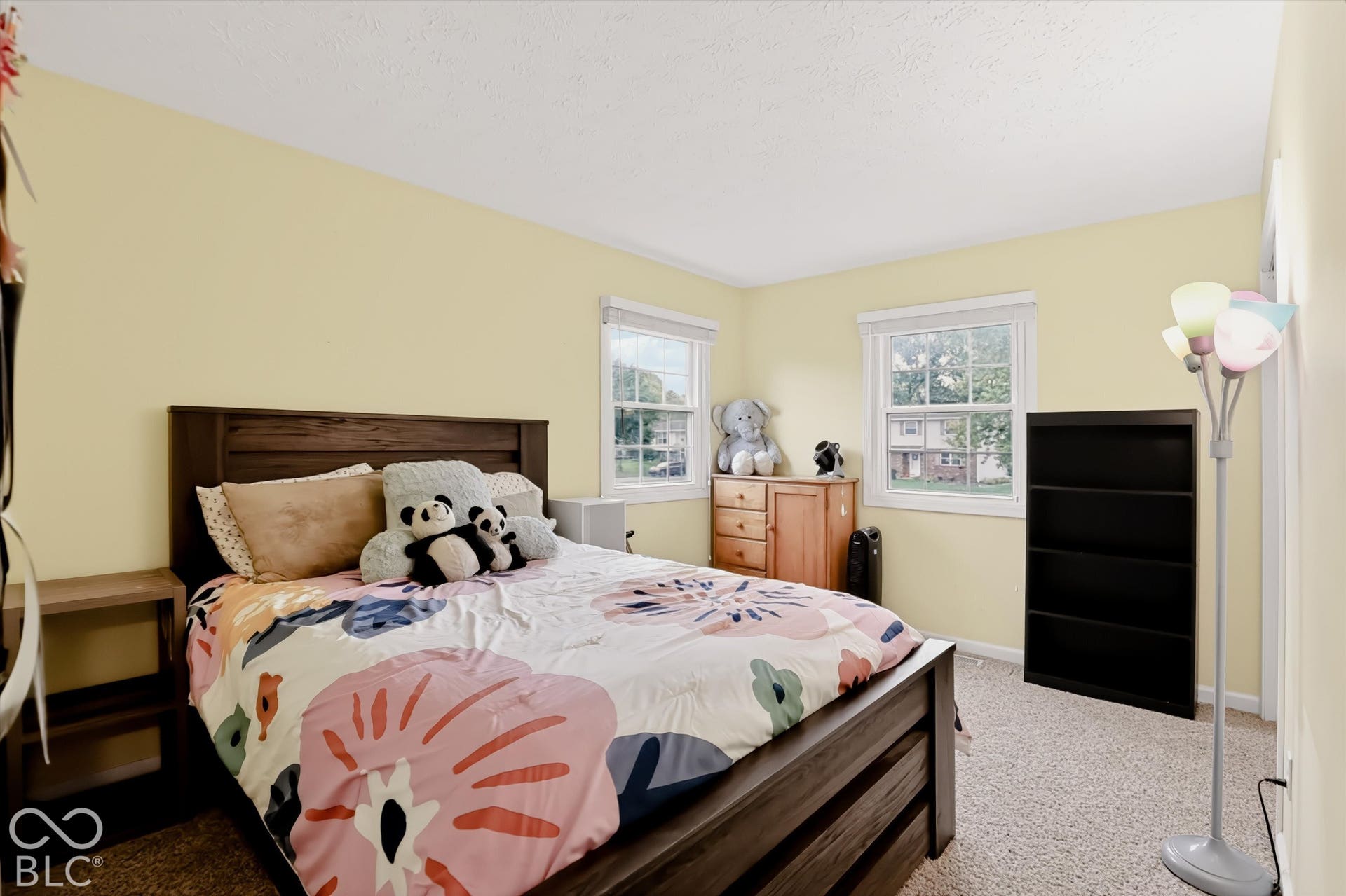 Neutral wall tones featuring dual windows with white frames and wall-to-wall carpeting