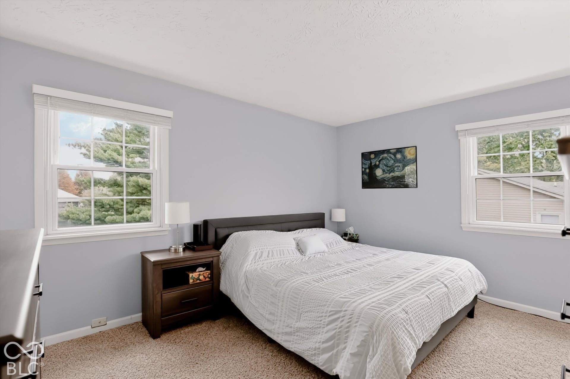 Neutral-toned walls paired with carpeting and double-hung windows featuring grid detailing