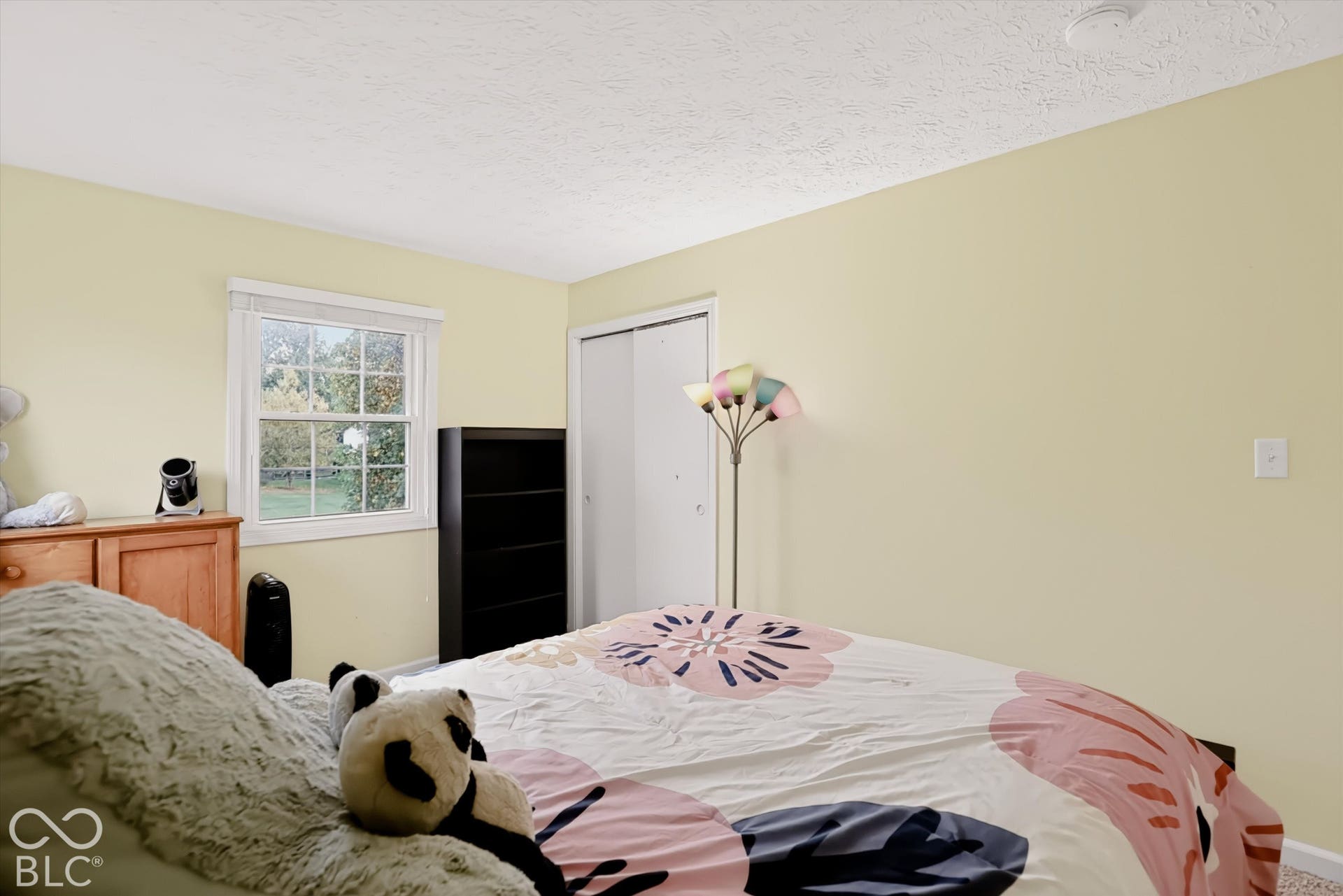 Bedroom featuring neutral wall paint, carpeted flooring, a double-panel closet with white doors, and a single-hung window with a white frame