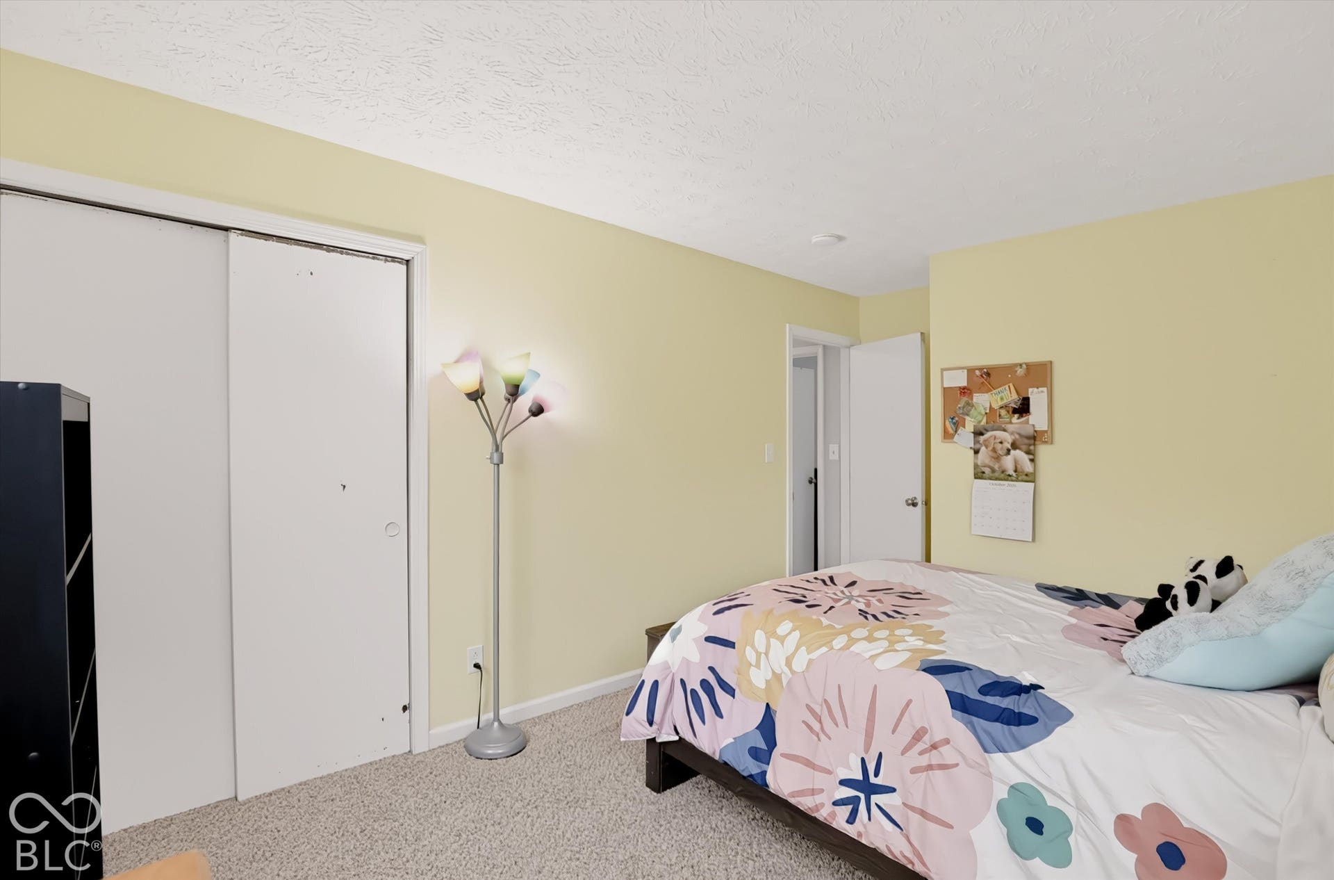 Interior room featuring neutral wall paint, wall-to-wall carpeting, and a double-door sliding closet