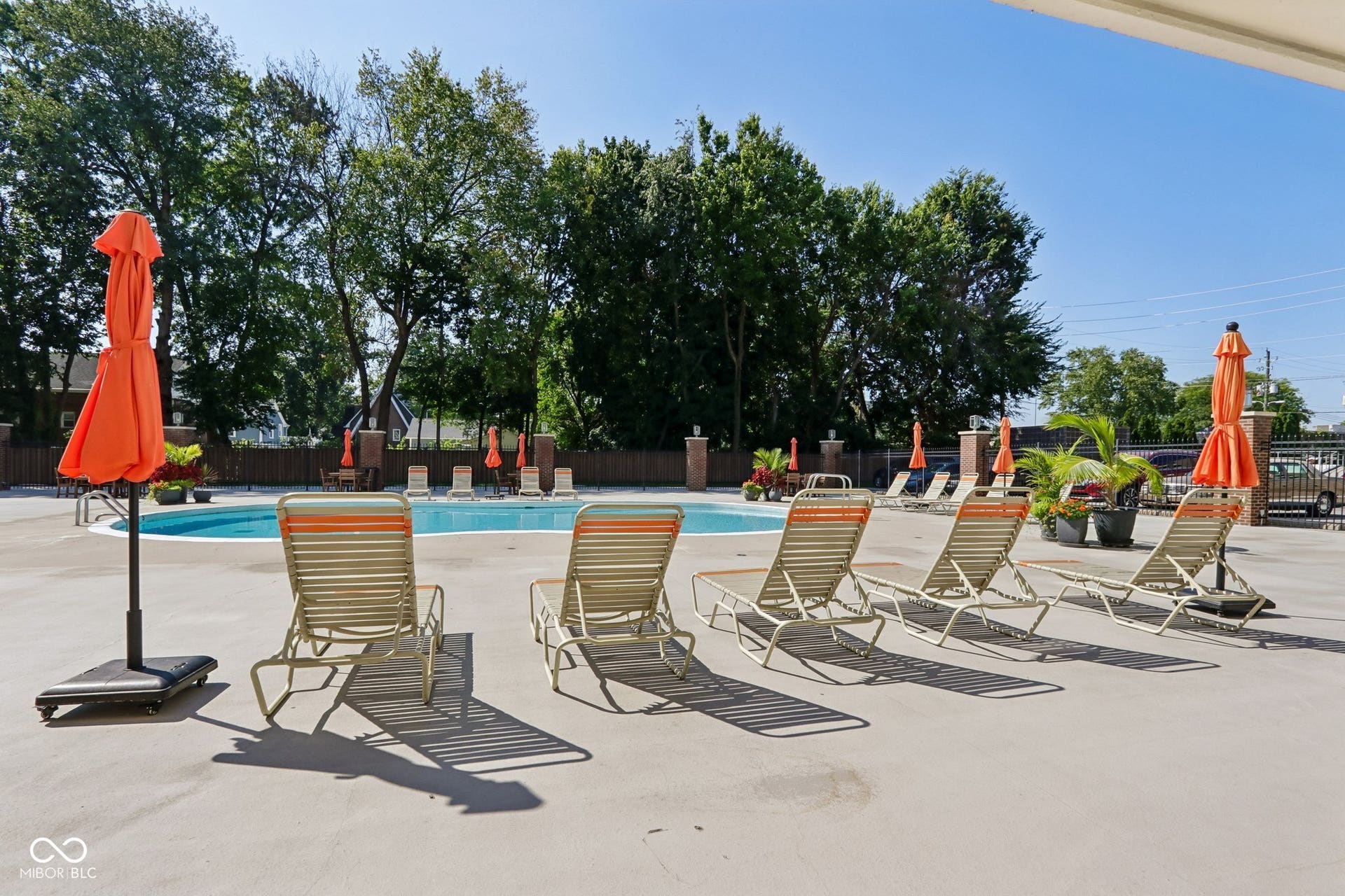 Outdoor swimming pool with a concrete surround, surrounded by mature trees