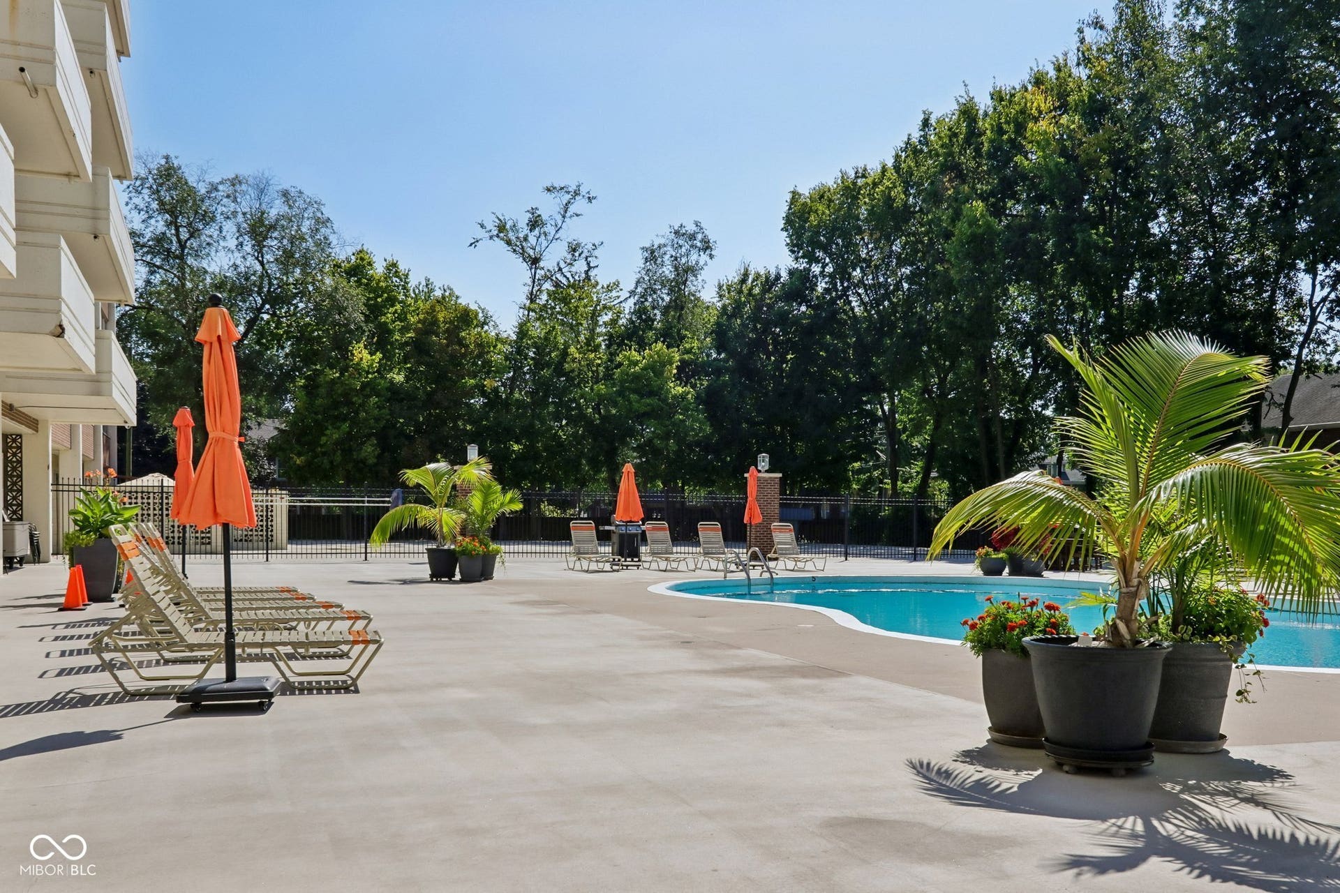 Outdoor swimming pool with concrete decking, perimeter fencing, and mature trees