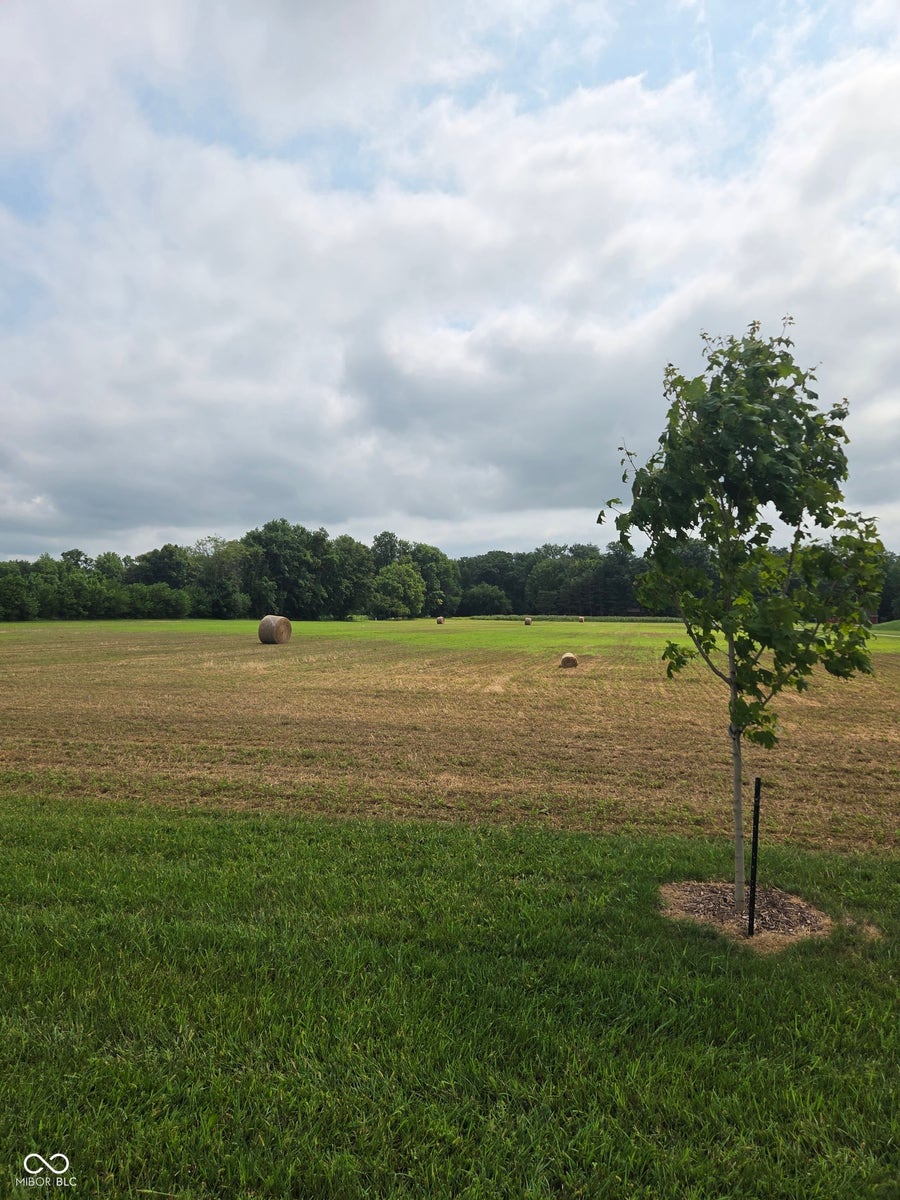 Property photo for 981 Lewis Lane, Lizton, IN