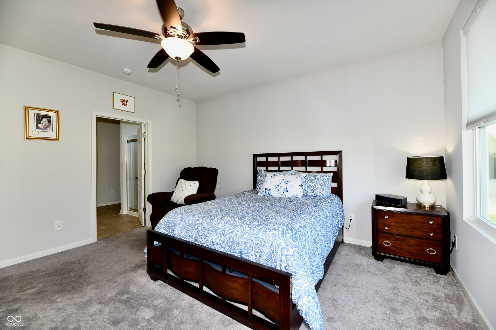 Ceiling Fan Light in primary