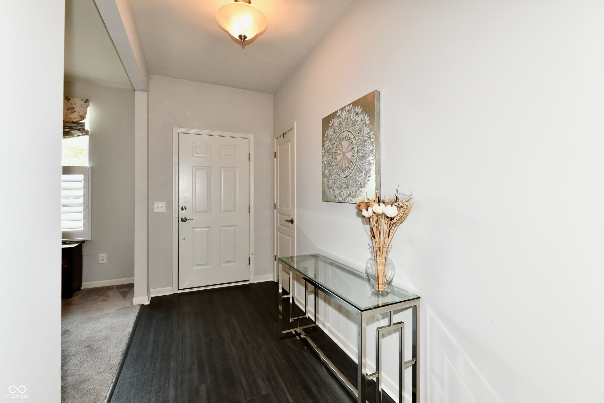 White paneled entry door with dark hardware, dark wood-finish flooring, and a flush mount ceiling light fixture