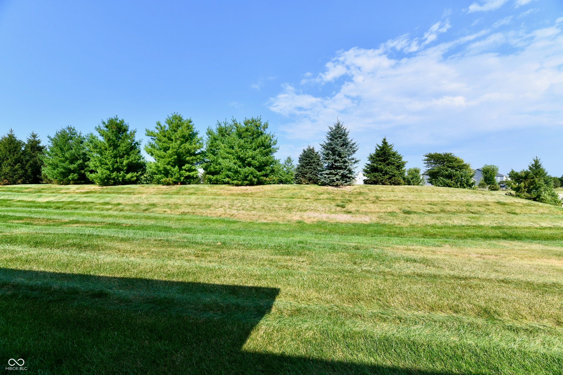 Expansive grass lawn with a gradual incline and mature evergreen trees bordering the property