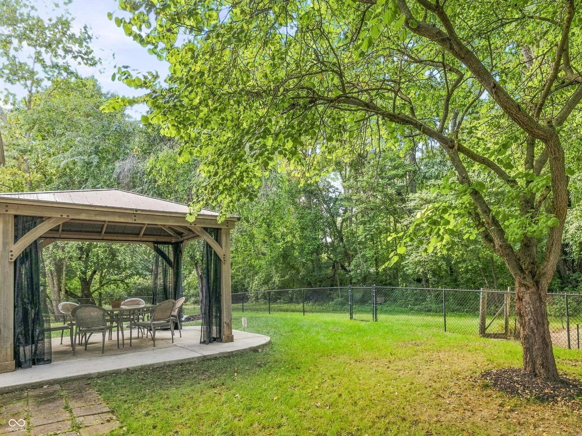 Backyard view of 6 acre woods