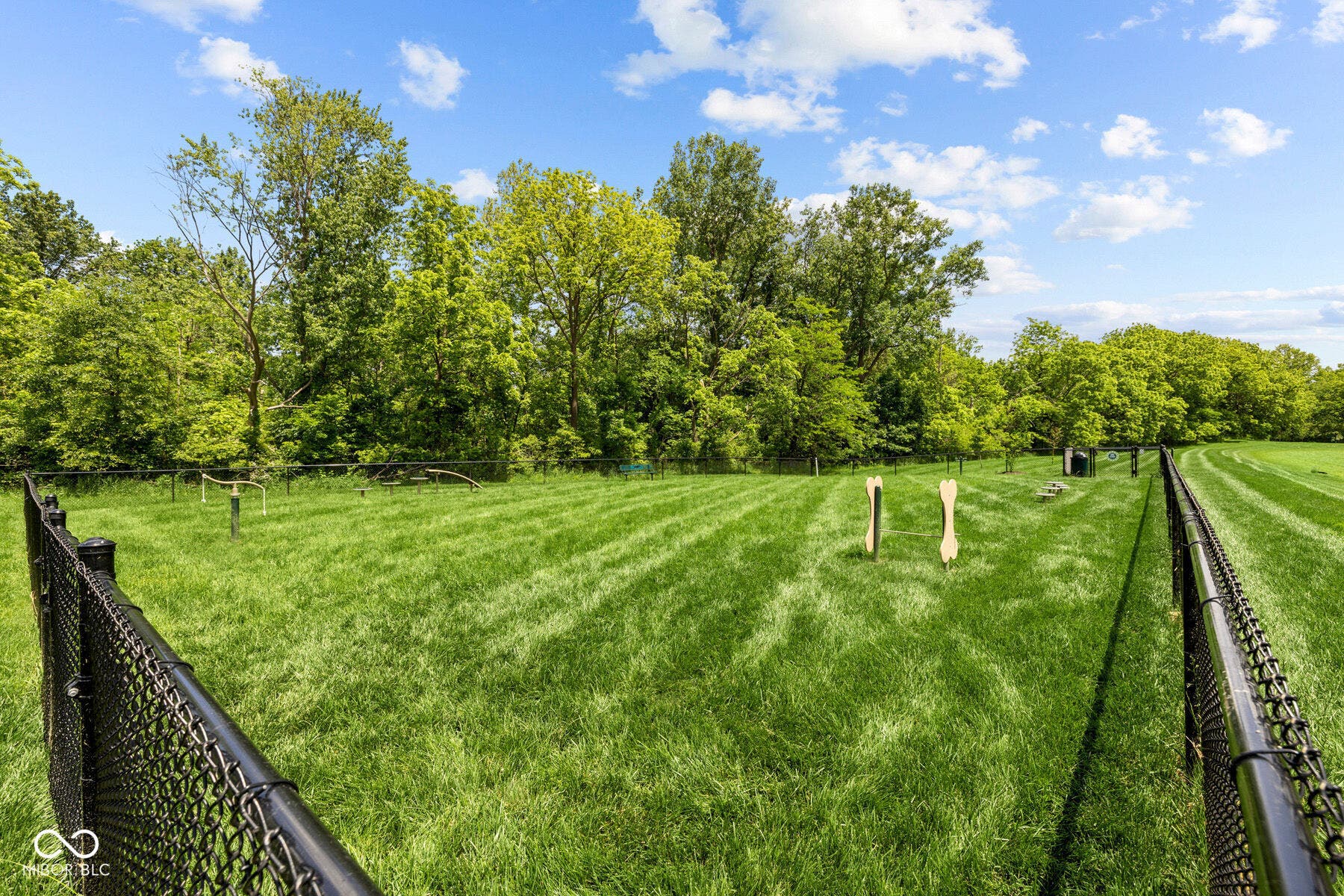 Dog Park