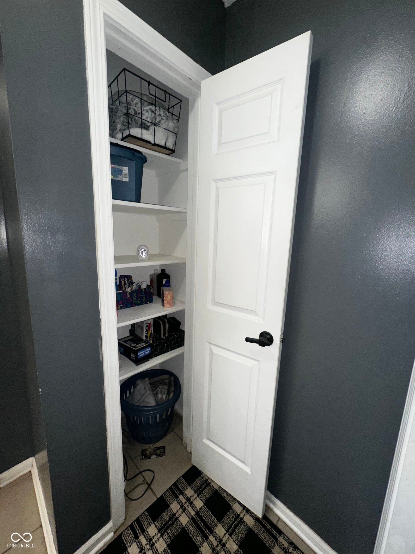 Recessed pantry featuring white shelving, a paneled door, and dark hardware