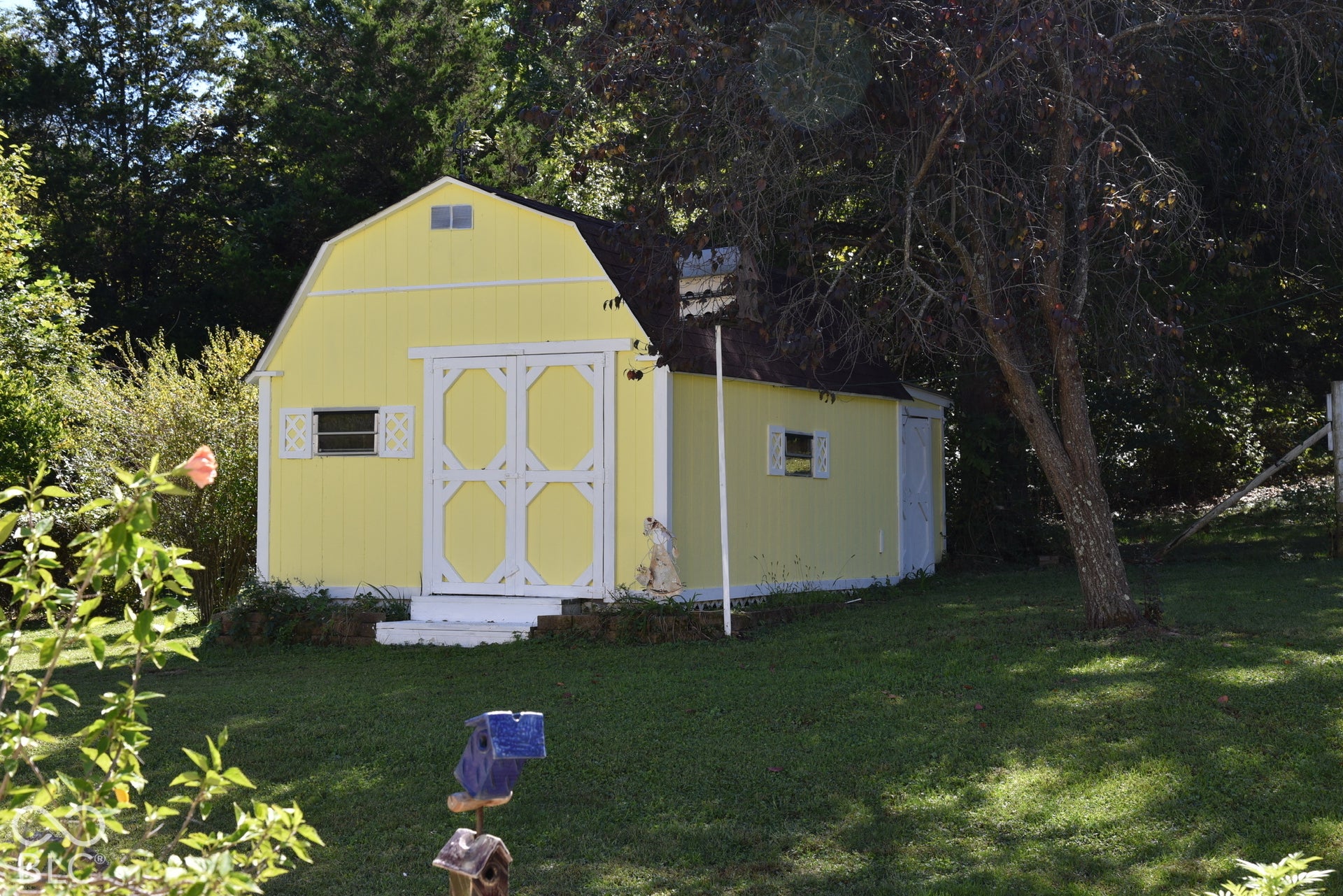 Barn-style storage shed with a yellow exterior and white trim accents
