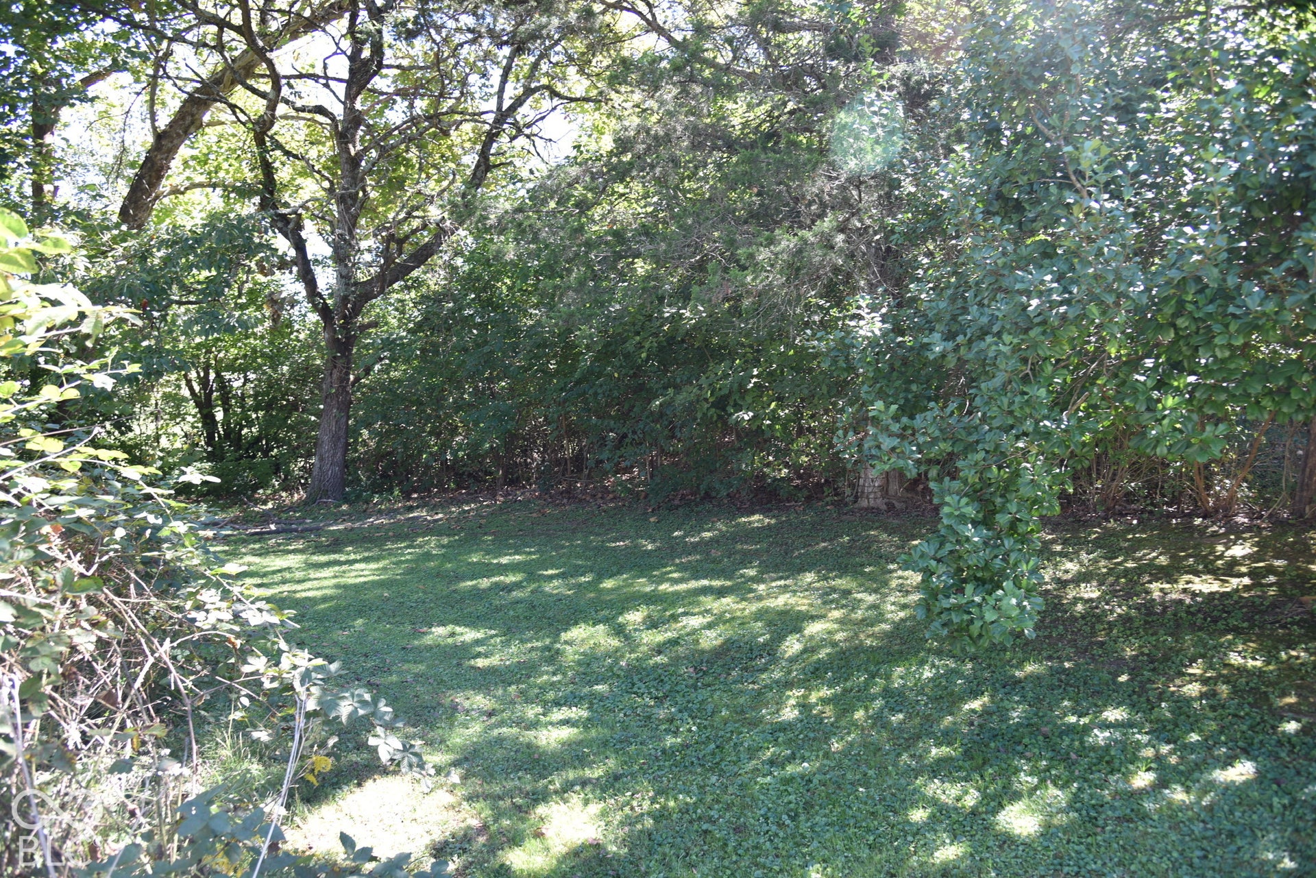 Expansive lawn area surrounded by mature trees and varied foliage