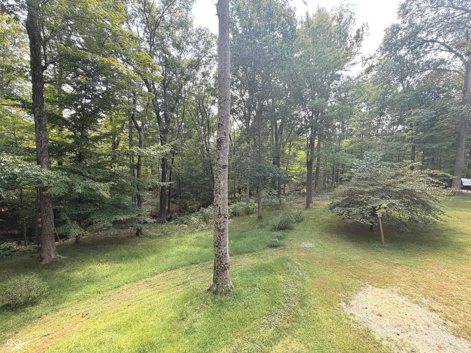 Expansive green space featuring mature trees and a gently sloped lawn