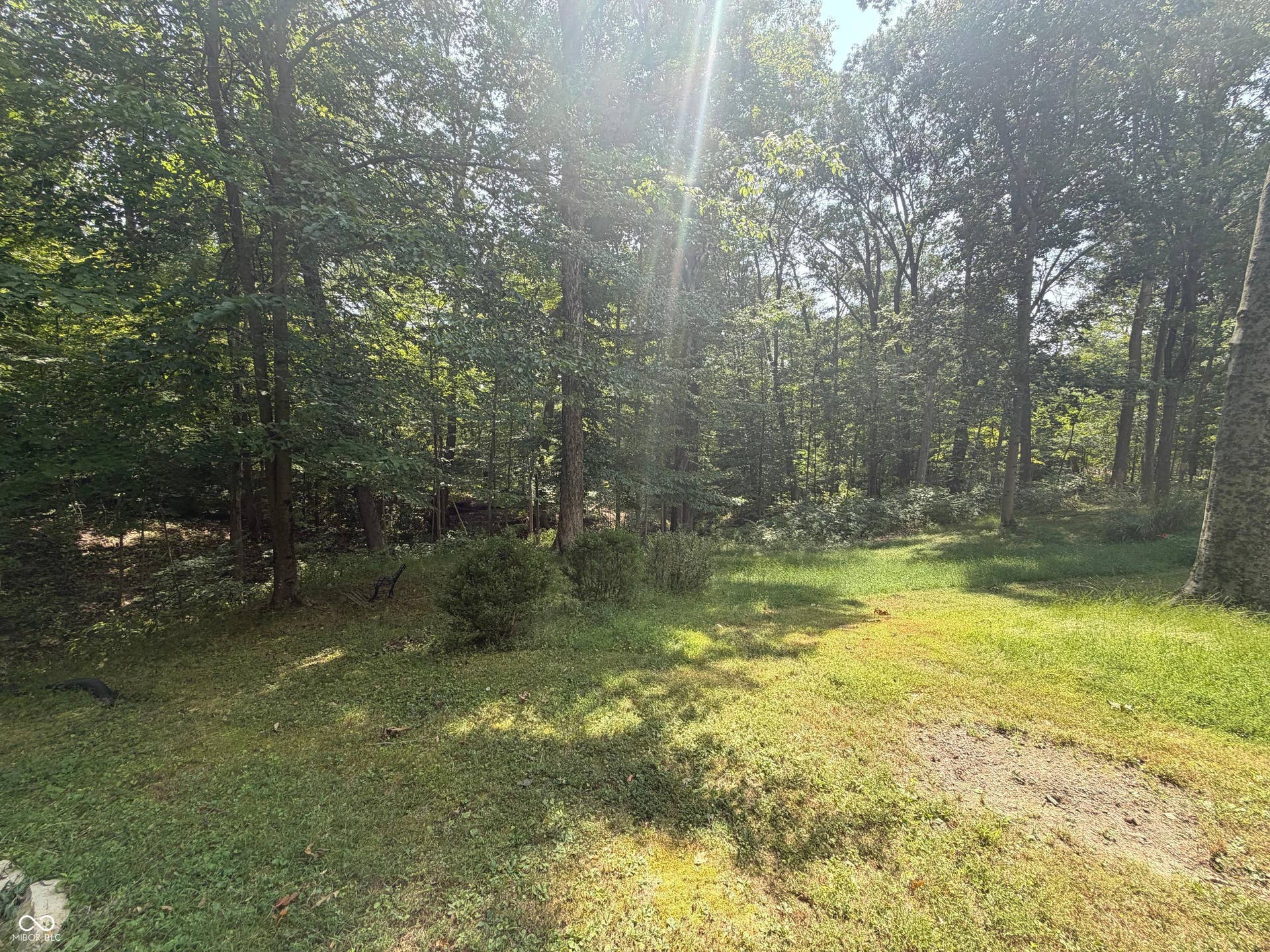 Wooded lot featuring mature trees and a grass ground cover