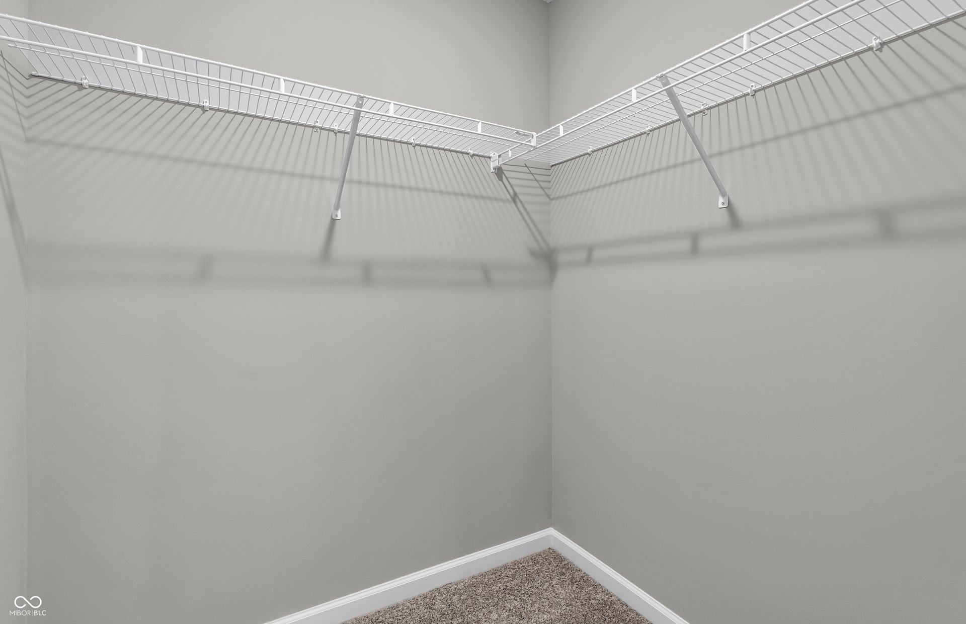 Virtually Altered - Similar Model
