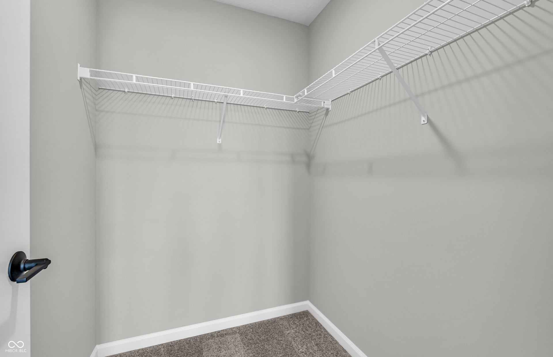 Virtually Altered - Similar Model