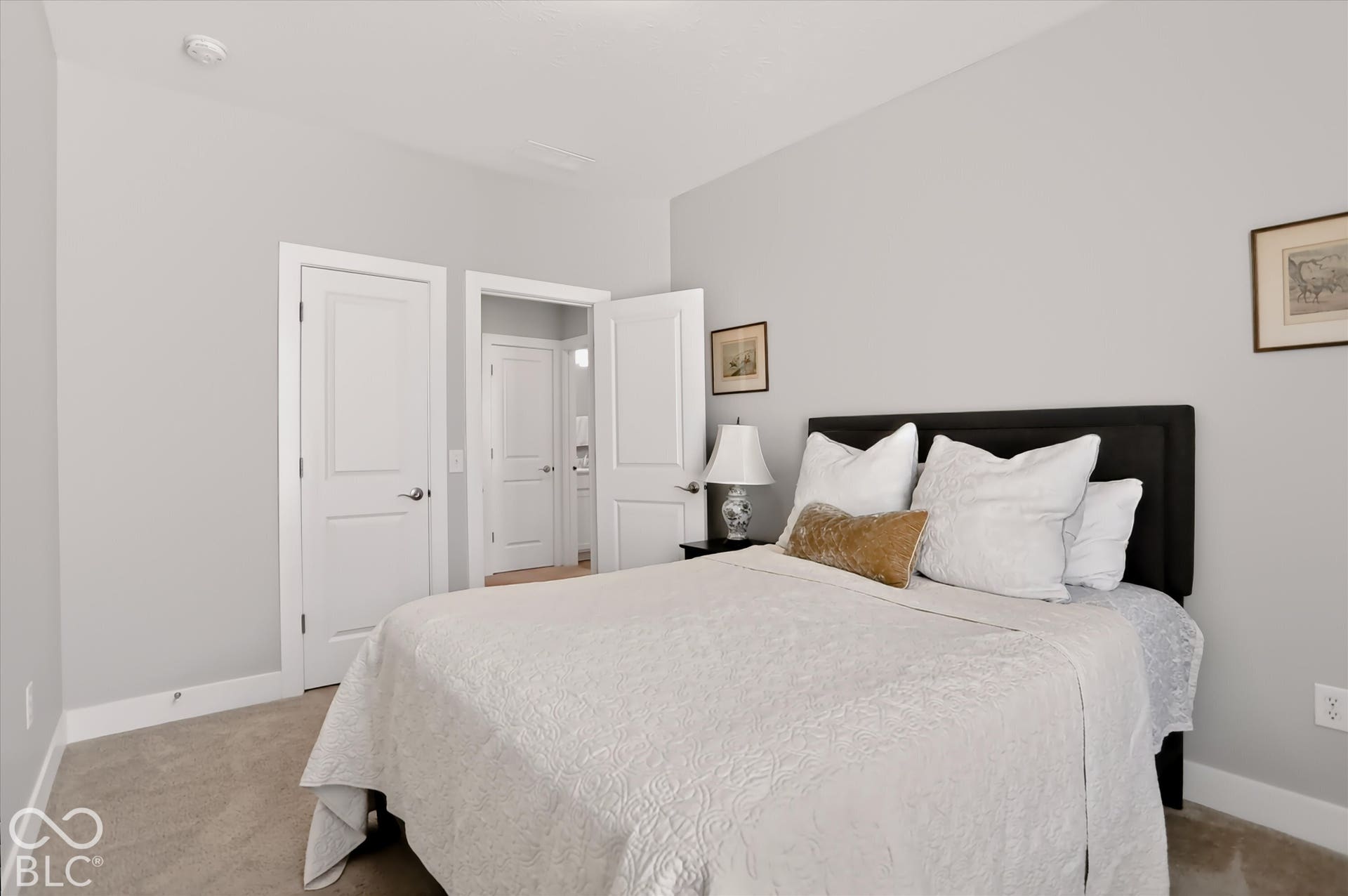 Light gray wall paint with white trim, soft gray carpeting, and white interior doors