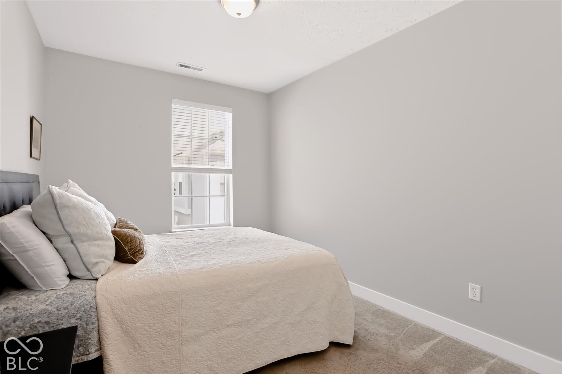 Carpeted flooring, window with blinds, ceiling-mounted light fixture, and light-toned wall paint