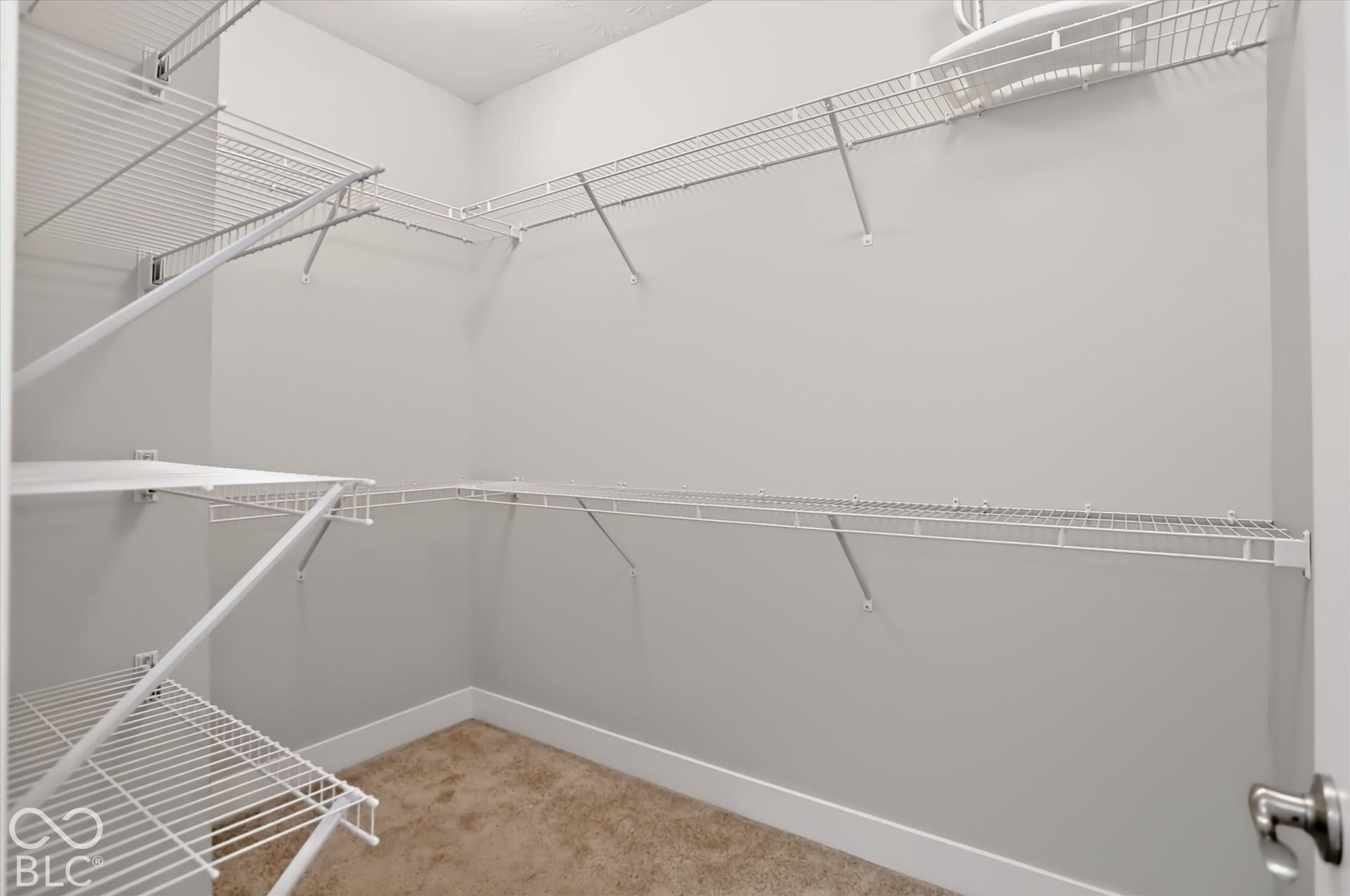 Walk-in closet featuring wire shelving, white painted walls, and carpet flooring