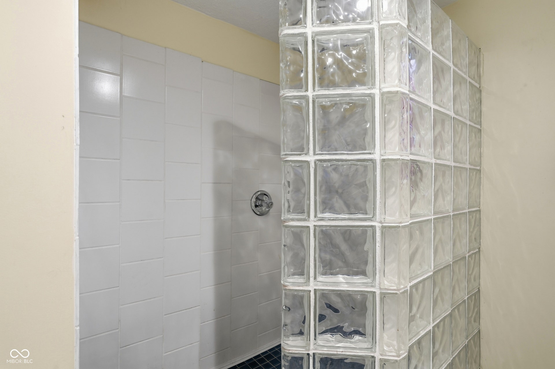 7927 Hoop Road, Indianapolis, IN 46217 Lower level walk-in shower enclosure with glass block wall, white tiled walls, and a chrome shower fixture