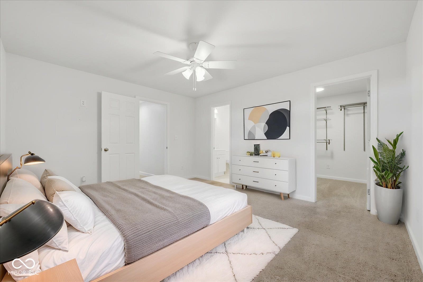 Virtually Altered - Plush carpeting with a ceiling fan, white paneled doors, and an open closet with organizational shelving