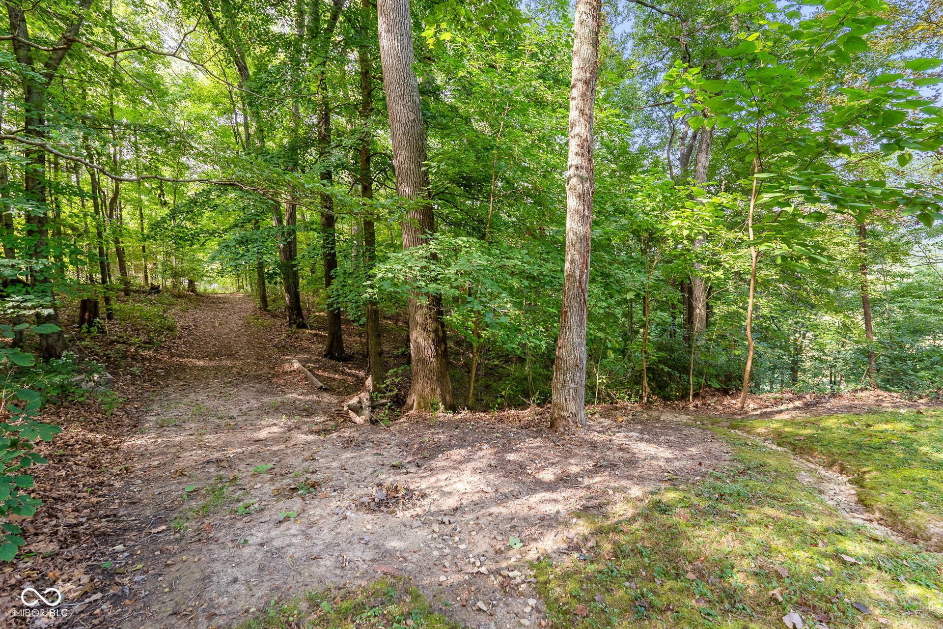 Wooded lot featuring mature trees and a natural ground path