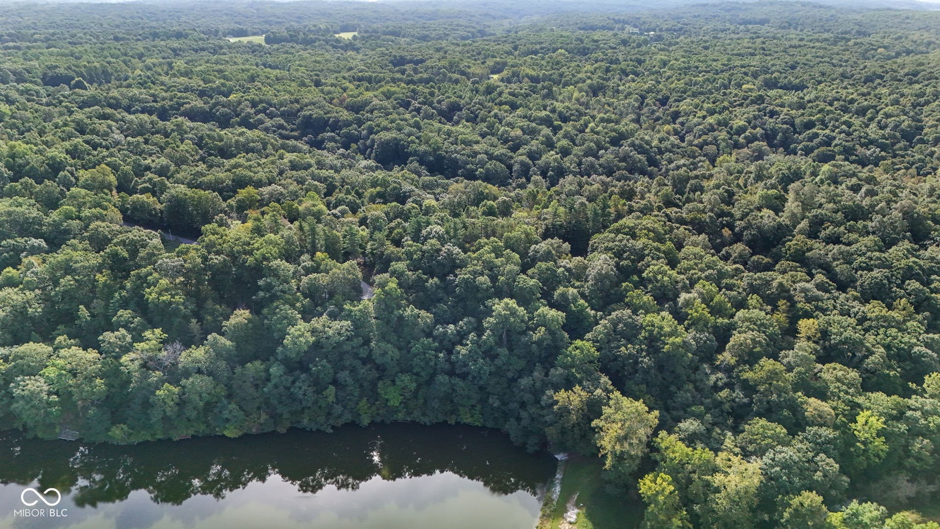 Expansive wooded landscape bordering a body of water