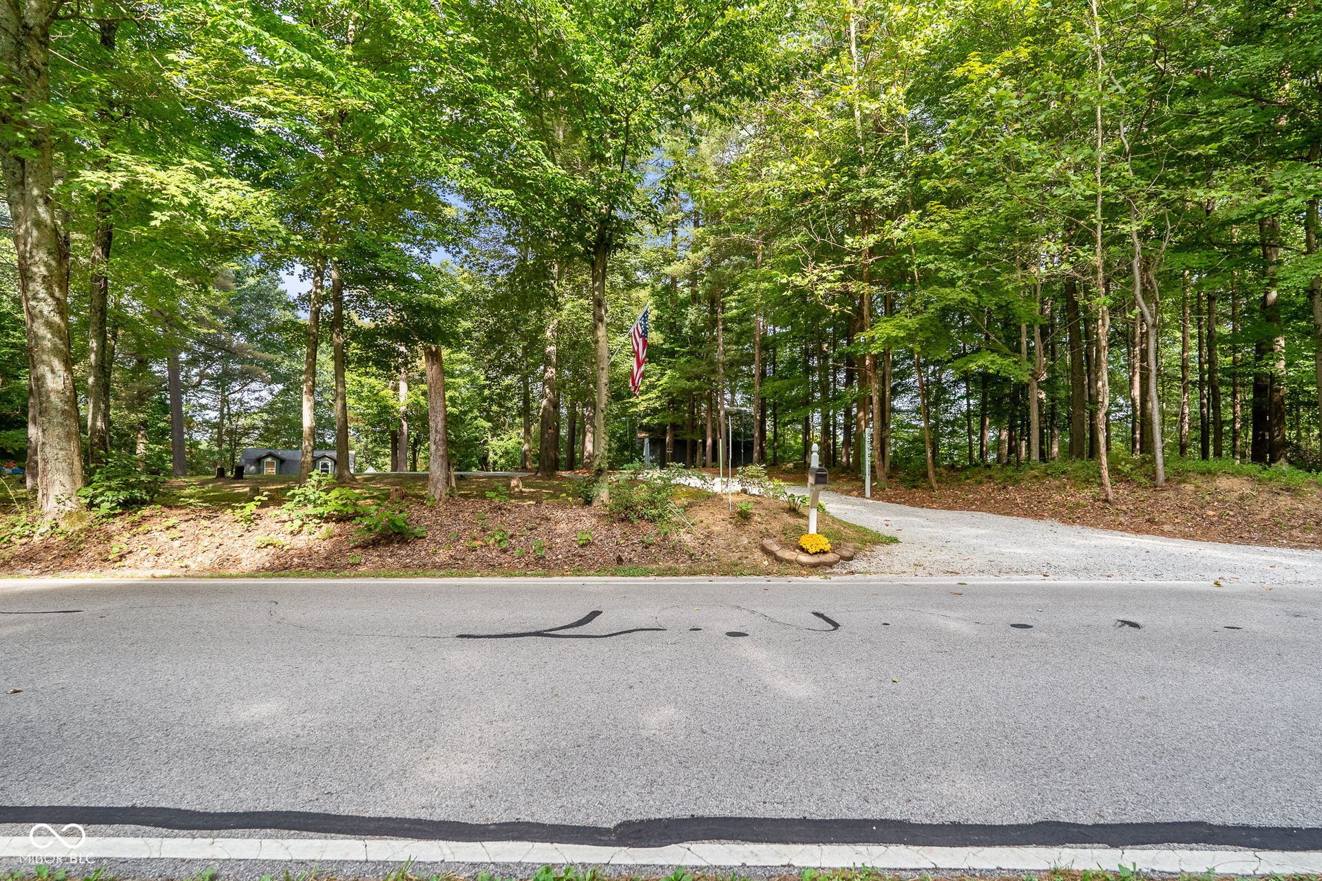 Wooded lot with a gravel driveway and mature trees