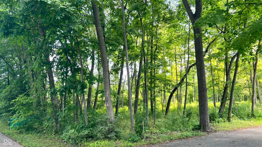 Property photo for 3259 Mabel Street, Indianapolis, IN