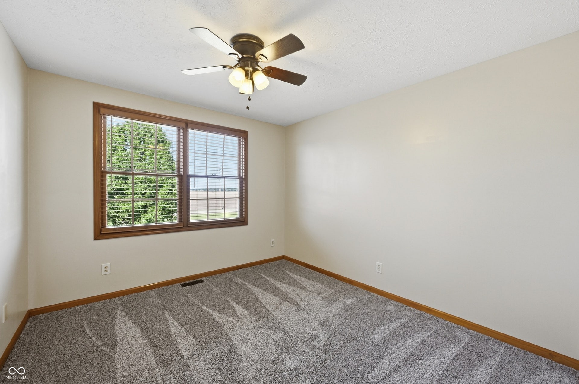8262 N Mechanicsburg Road, Middletown, IN 47356