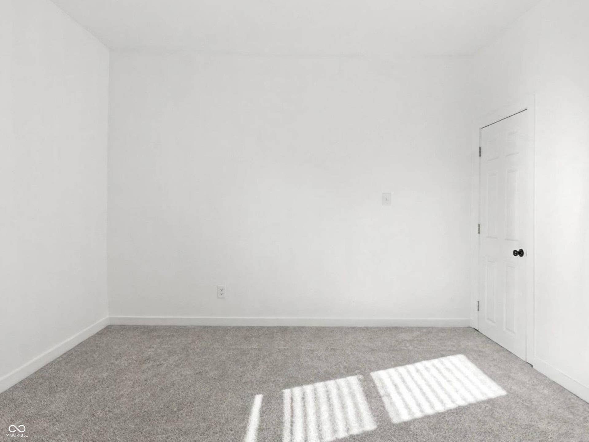 Light gray carpeting, white walls, and a paneled white door with a black knob