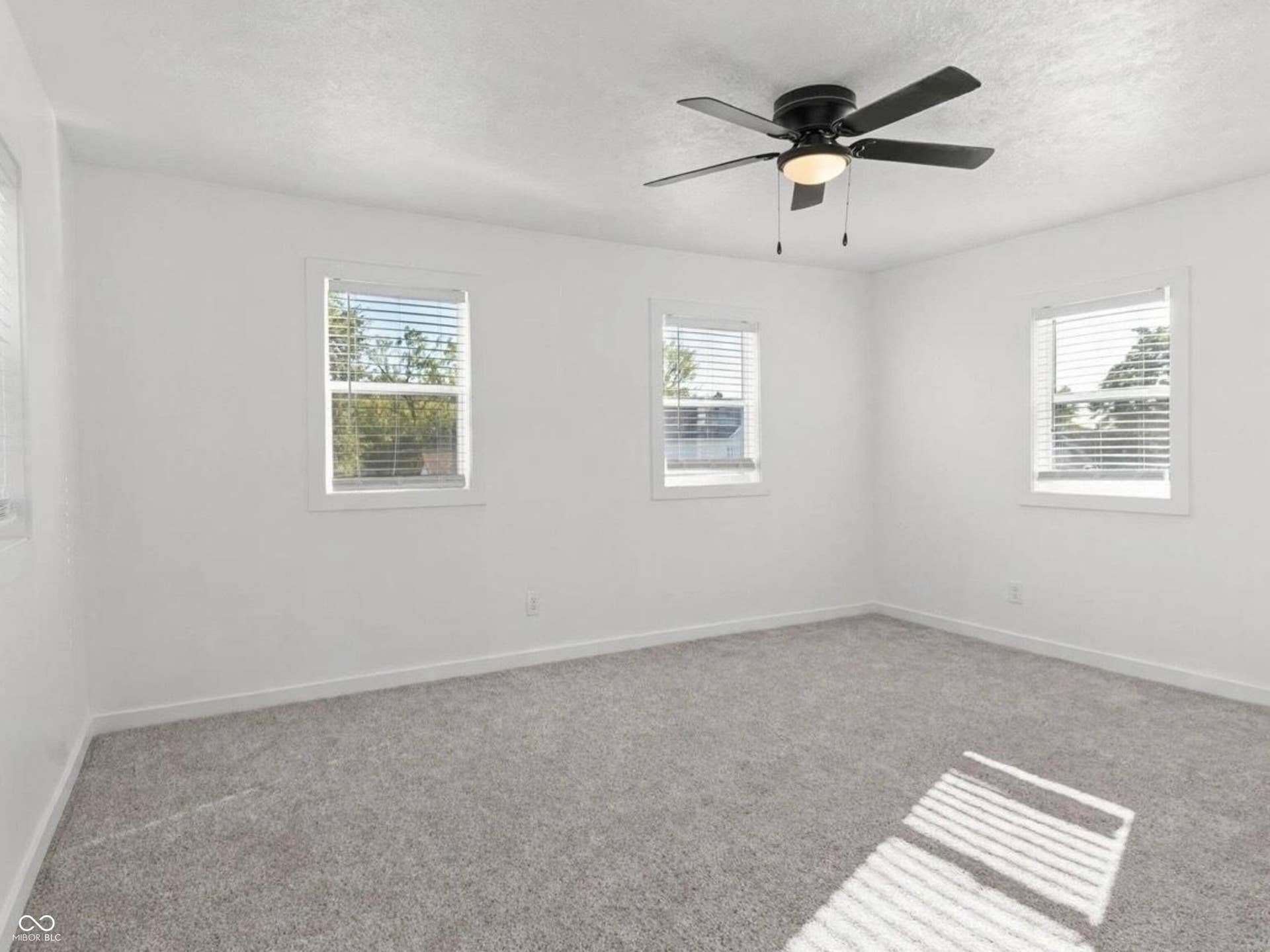 Plush gray carpeting, crisp white walls, multiple windows with blinds, and a ceiling fan with integrated lighting