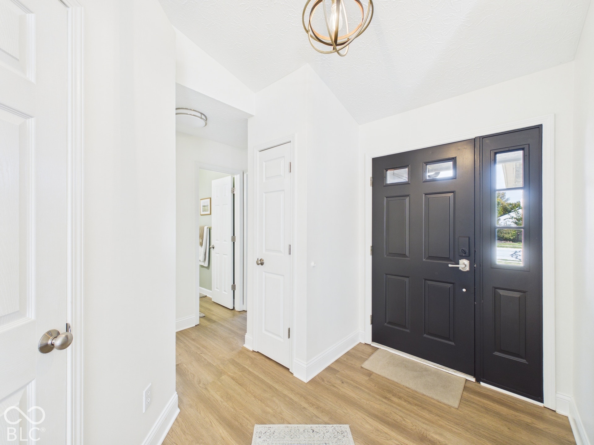 Dark-paneled entry door with sidelight and transom windows, wood-finish flooring, and a contemporary ceiling fixture