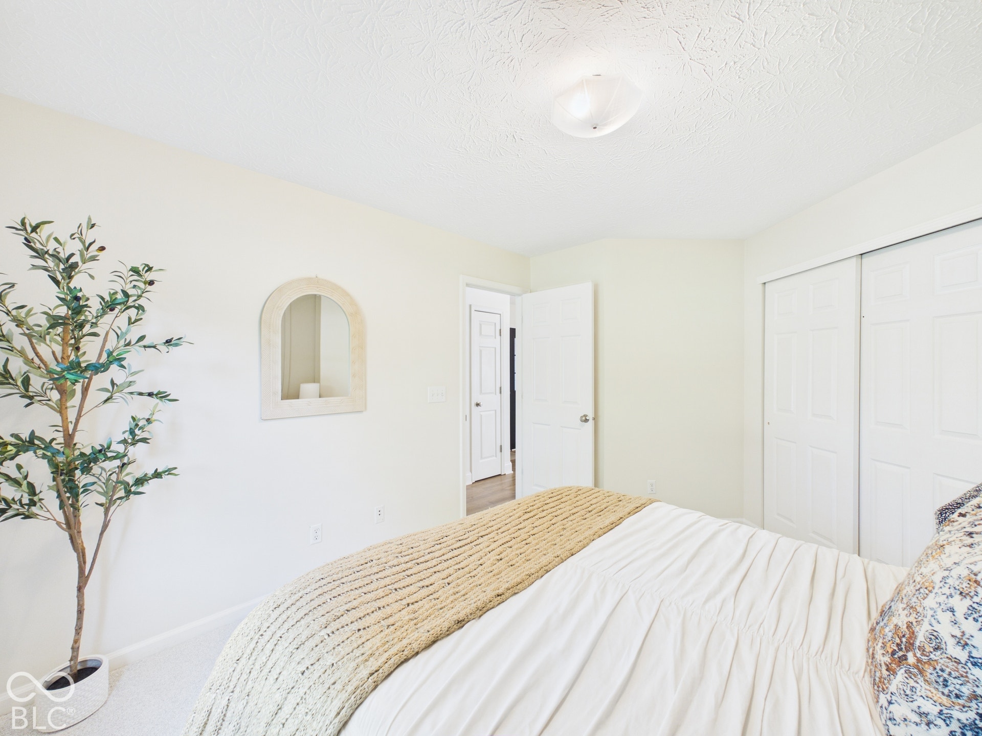 Wall-to-wall carpeting with built-in sliding closet doors and ceiling-mounted light fixture