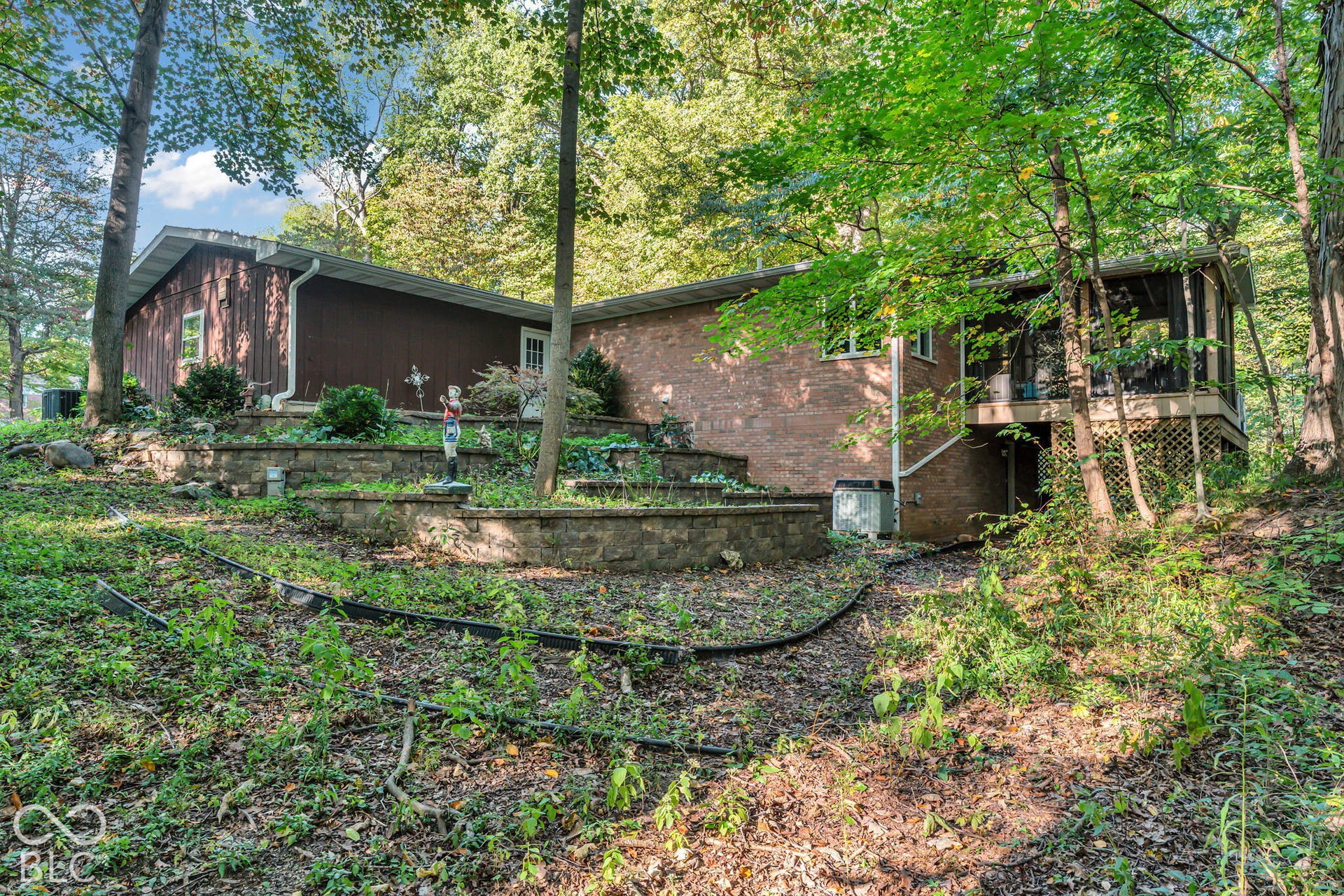 Back Of Structure