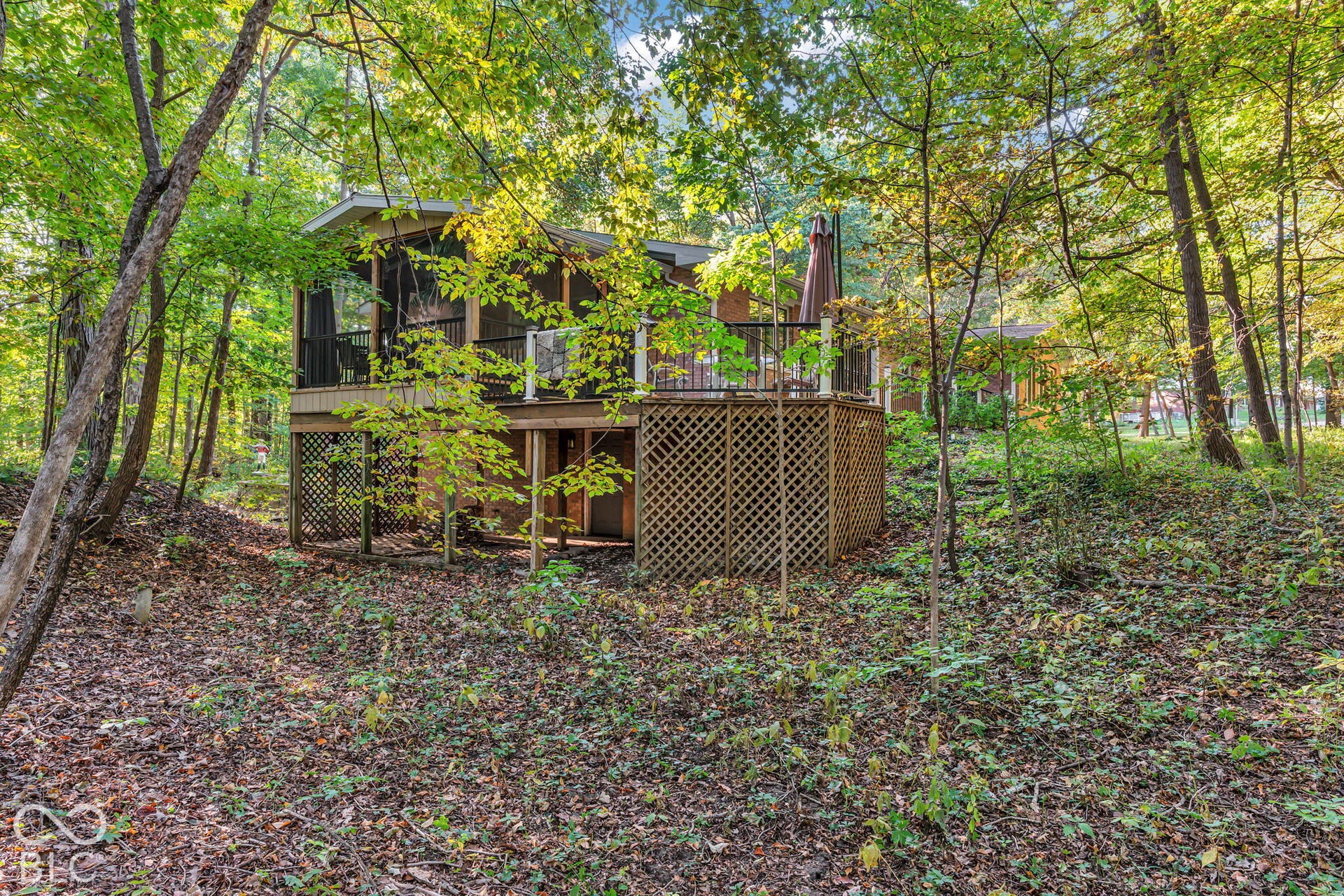 Back Of Structure
