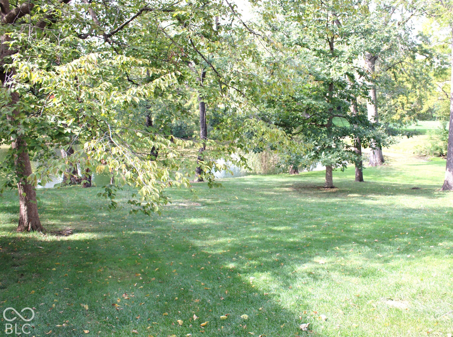 Back of Property is open with mature trees
