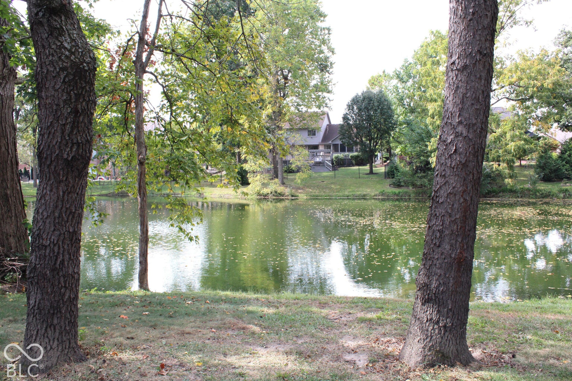 Nice Large Pond for Fishing right out the walk out basement