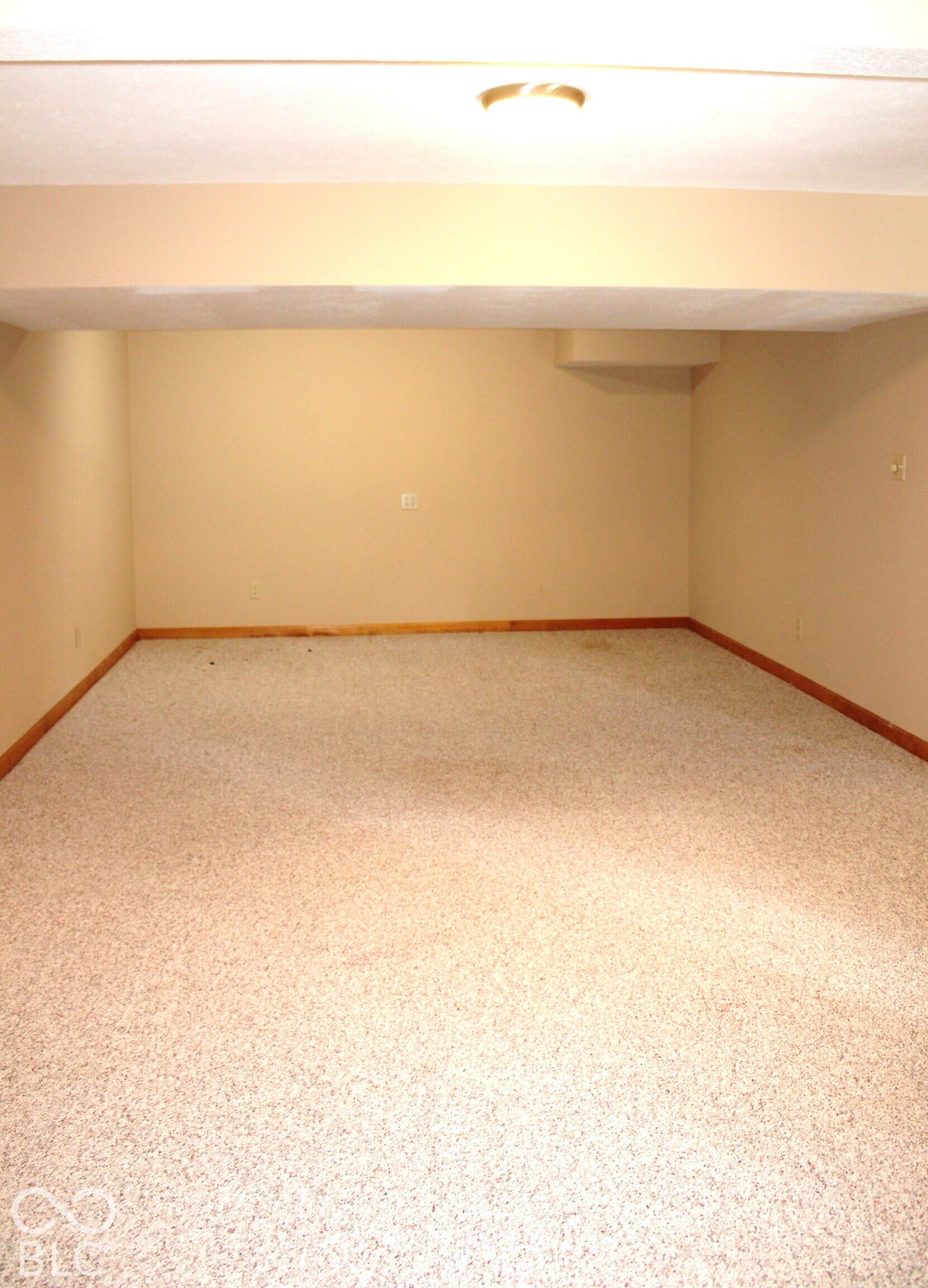 Long spacious Basement Area that would easily work as a Theater or Pool Table Space
