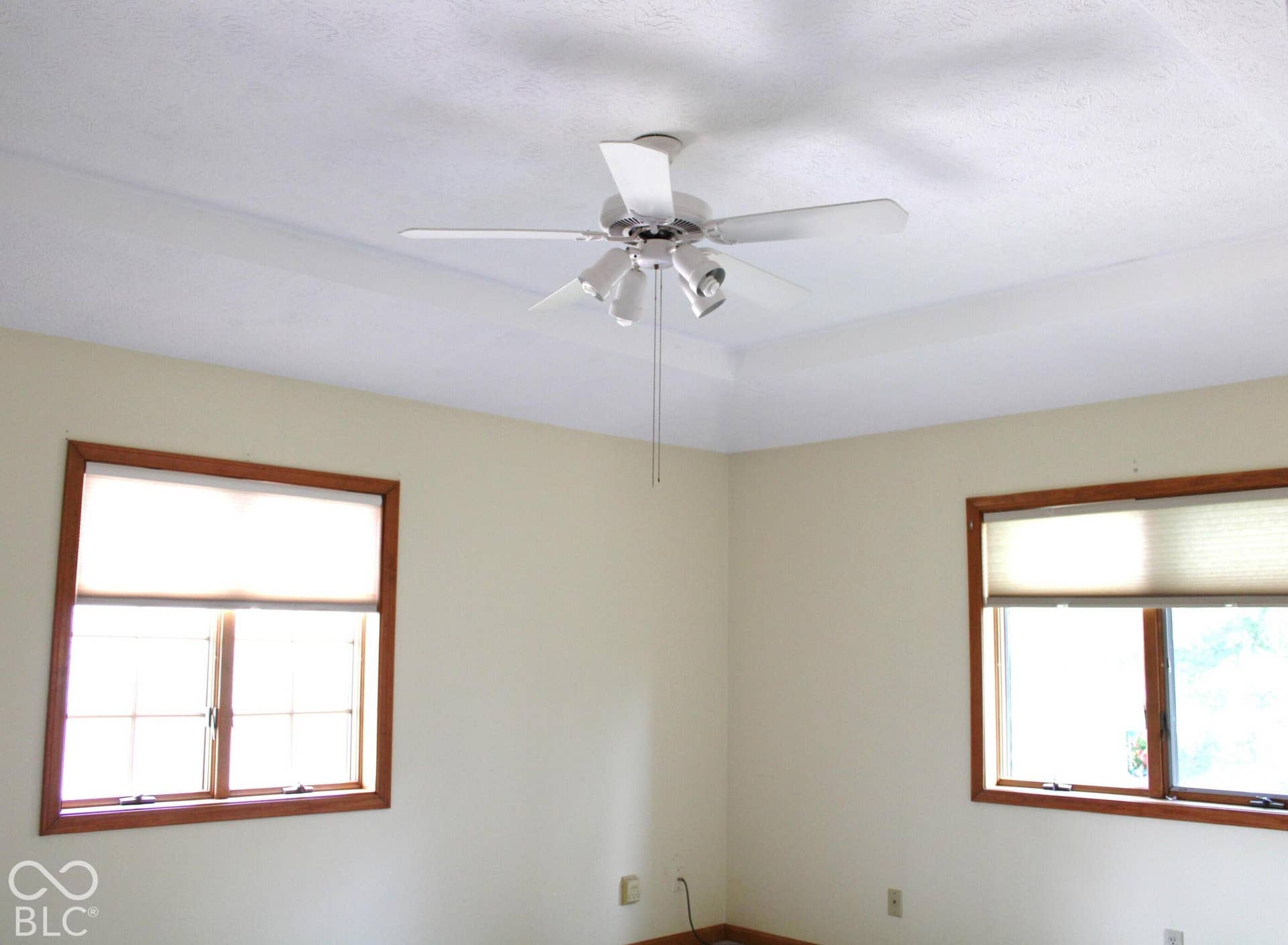 Master Bedroom with Tray Ceiling ~ Walk-In Closet plus bonus closet
