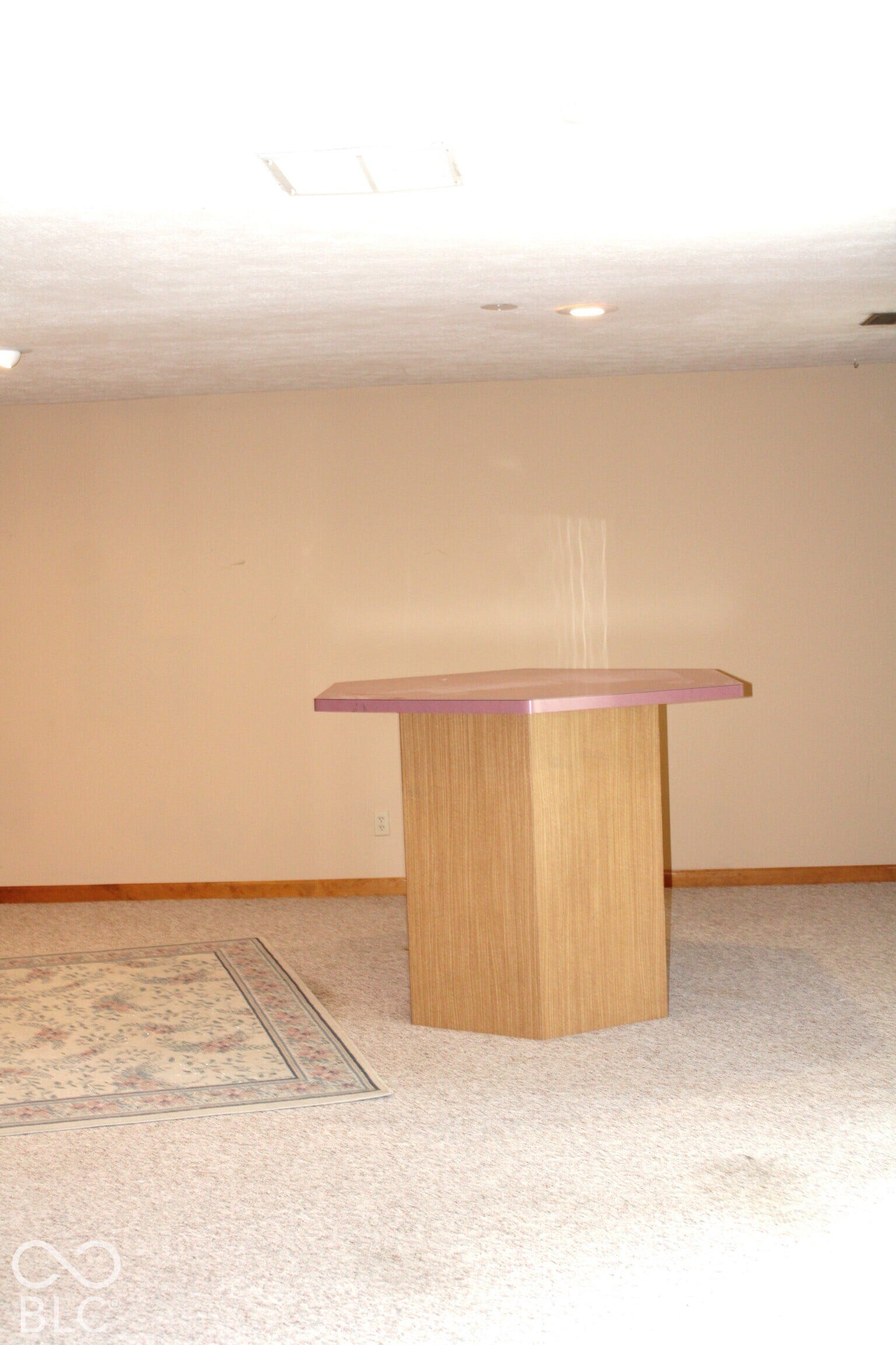 Bar Area/Family Room
