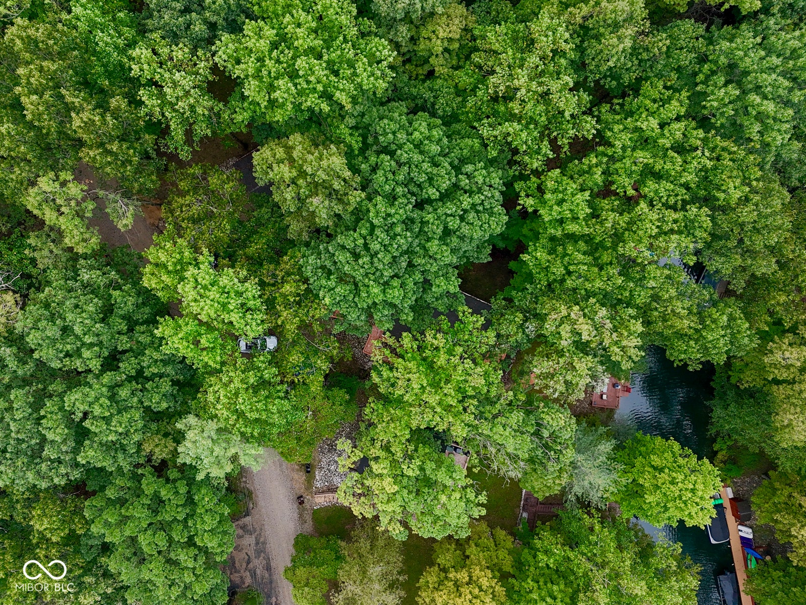 Wooded lot with water frontage, private dock, and a gravel drive