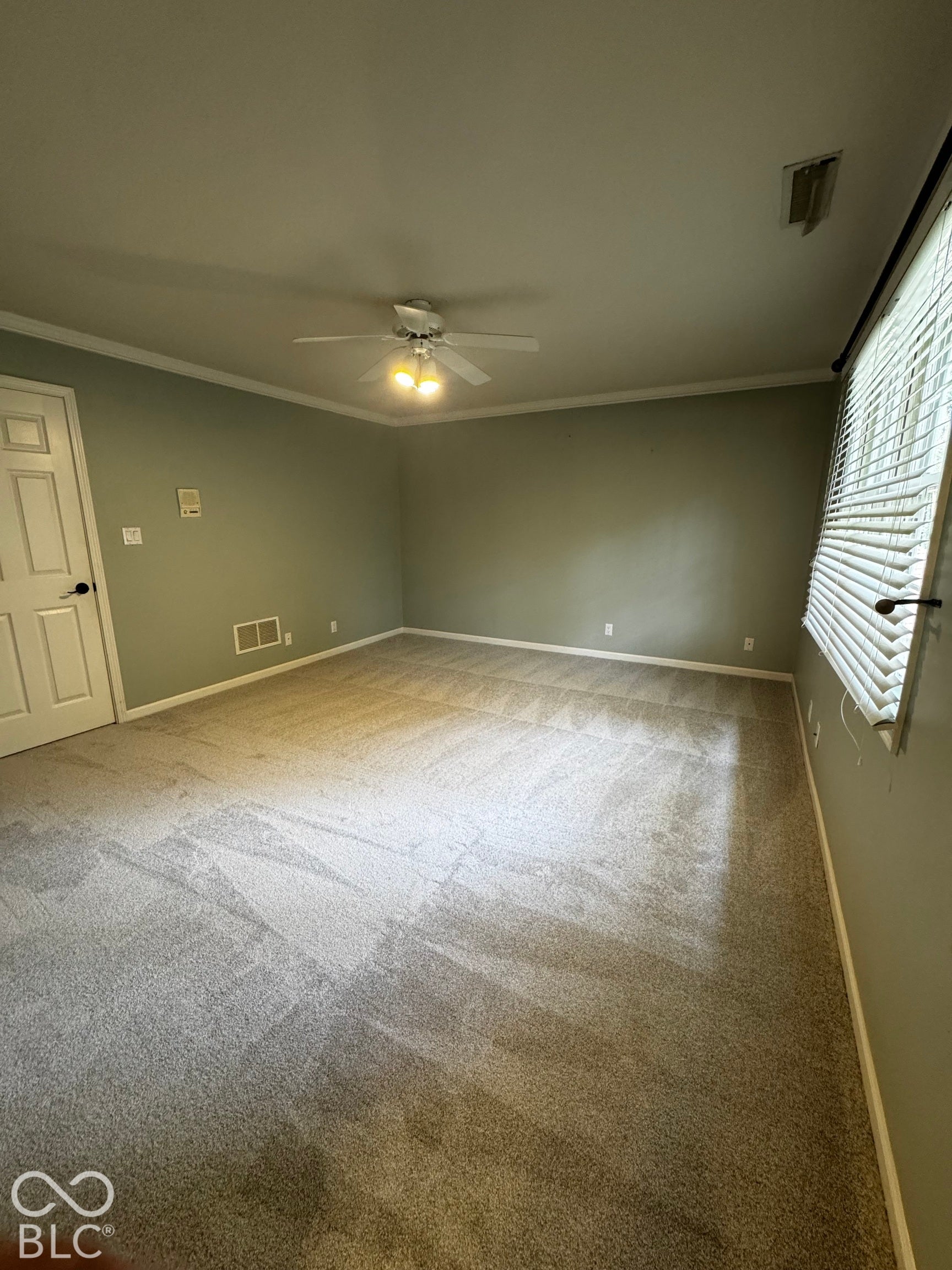 Spacious room with light-toned wall paint, plush carpeting, and crown molding