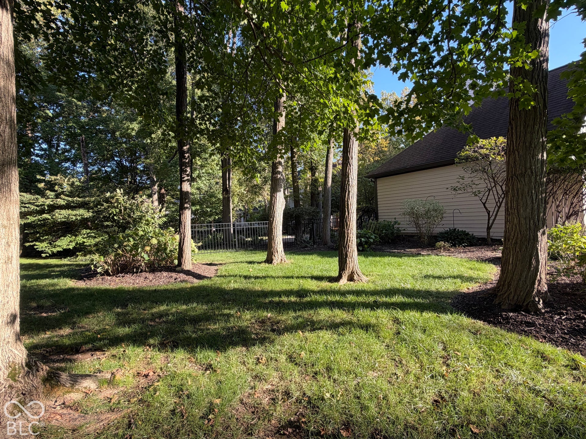 Expansive lawn area featuring multiple mature trees and a privacy fence