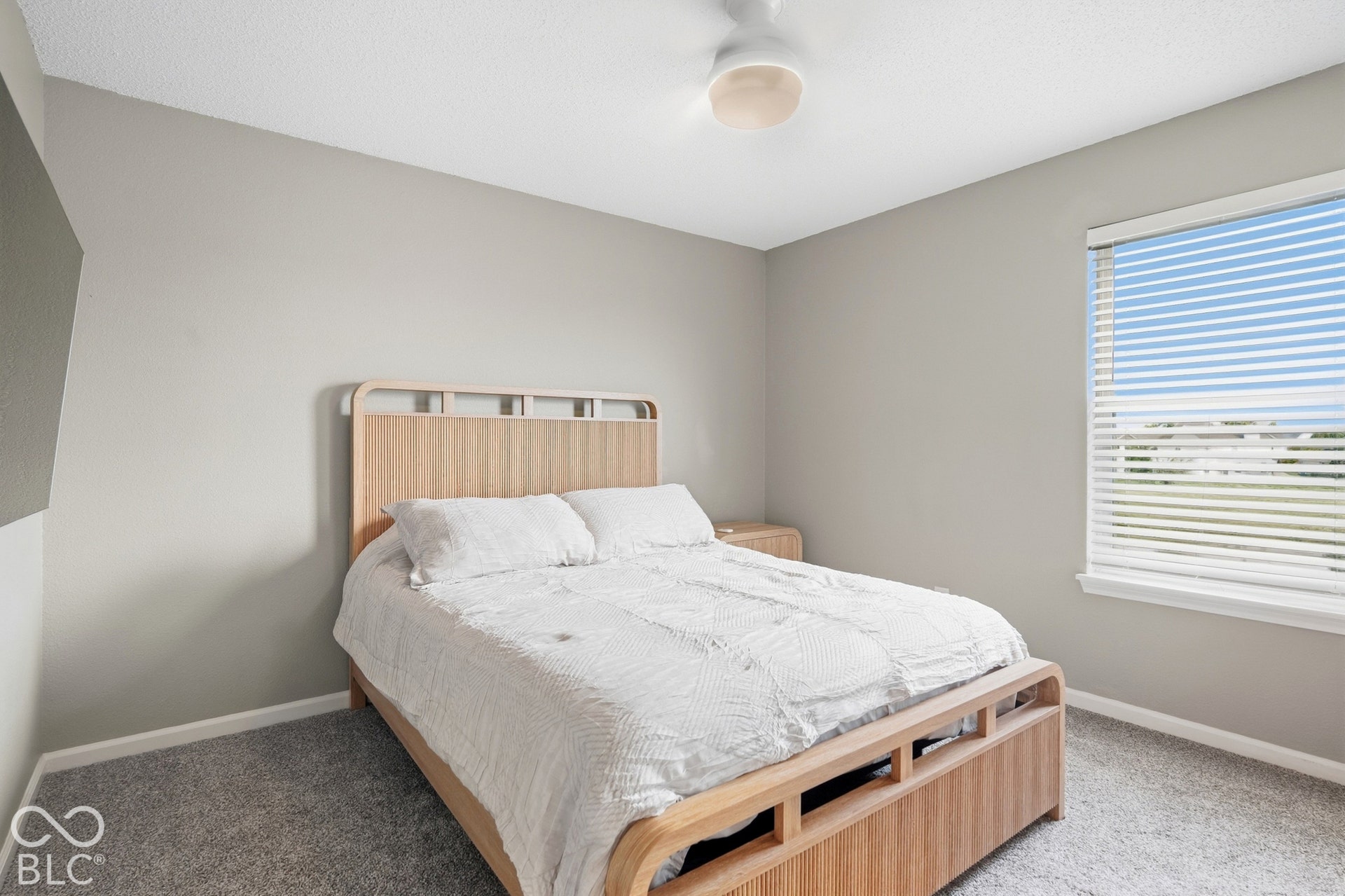Wall-to-wall carpeting, neutral wall color, and a window with blinds