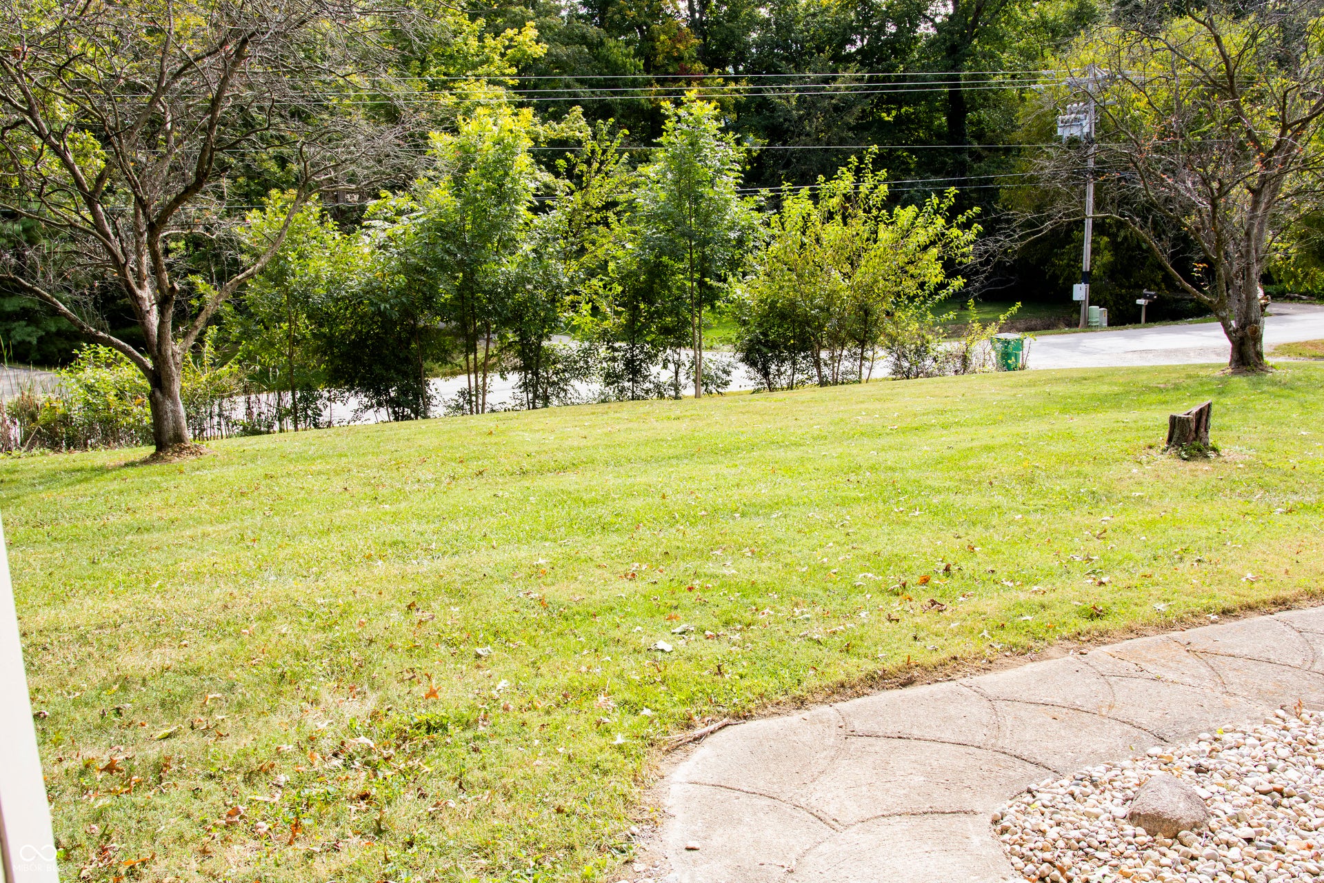 Expansive lawn area with mature trees and a paved path