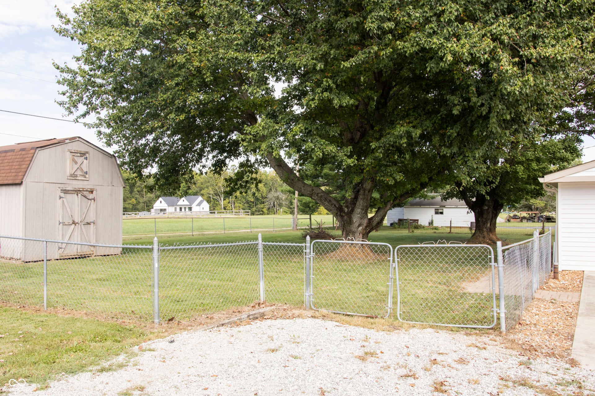 Chain link fence enclosing a grassy area