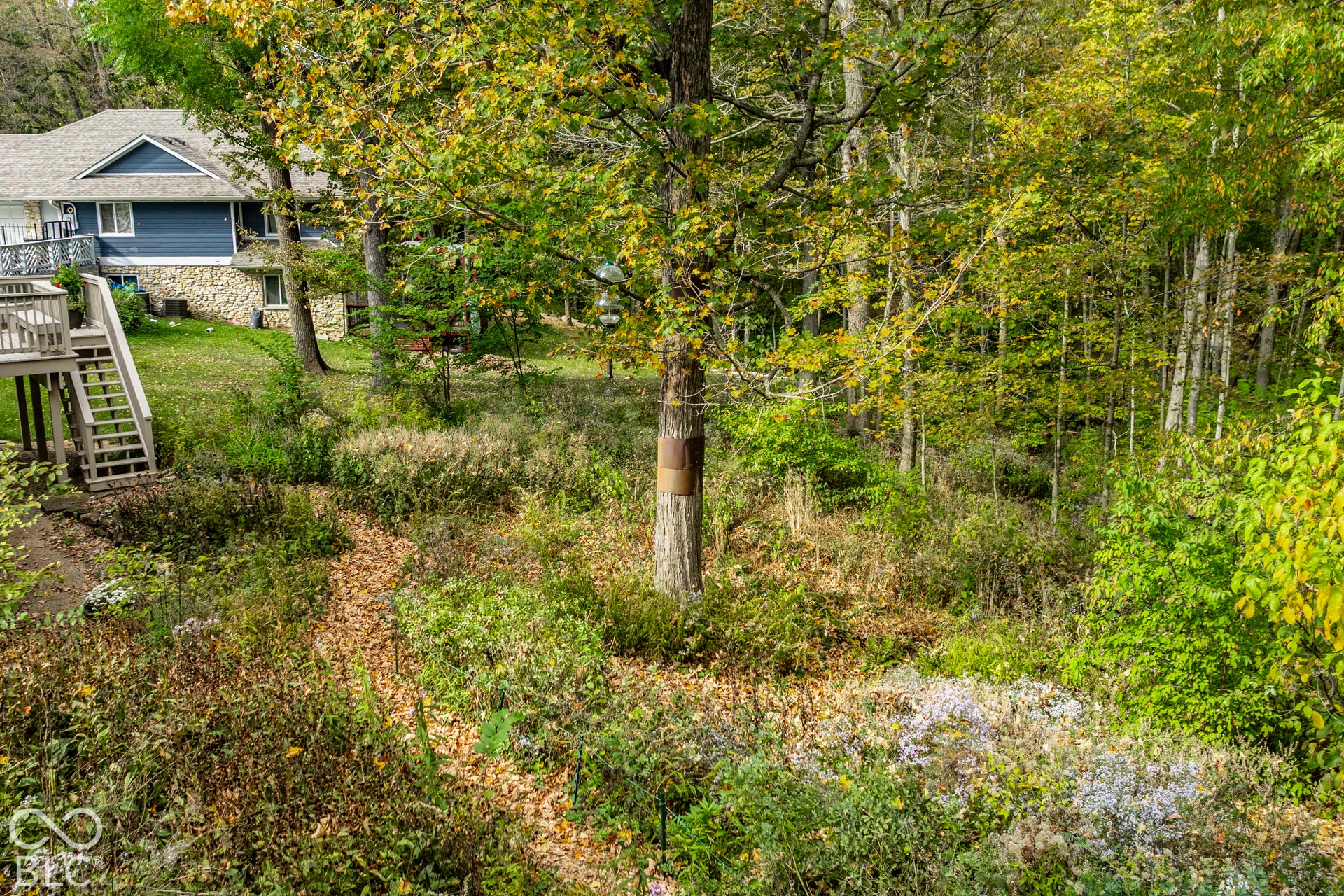 7702 Traders Cove Lane, Indianapolis, IN 46254